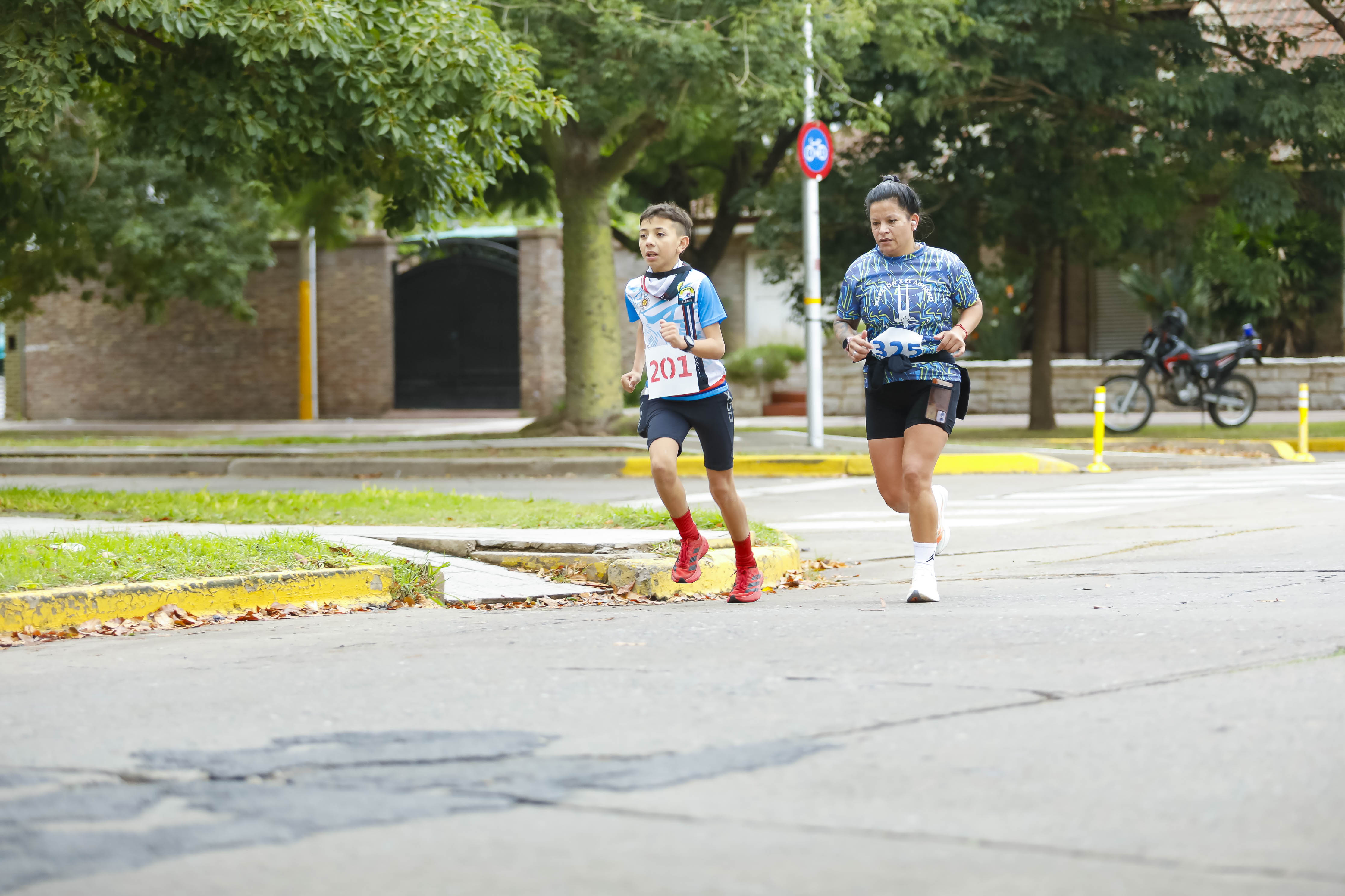 Foto Dorsal 201