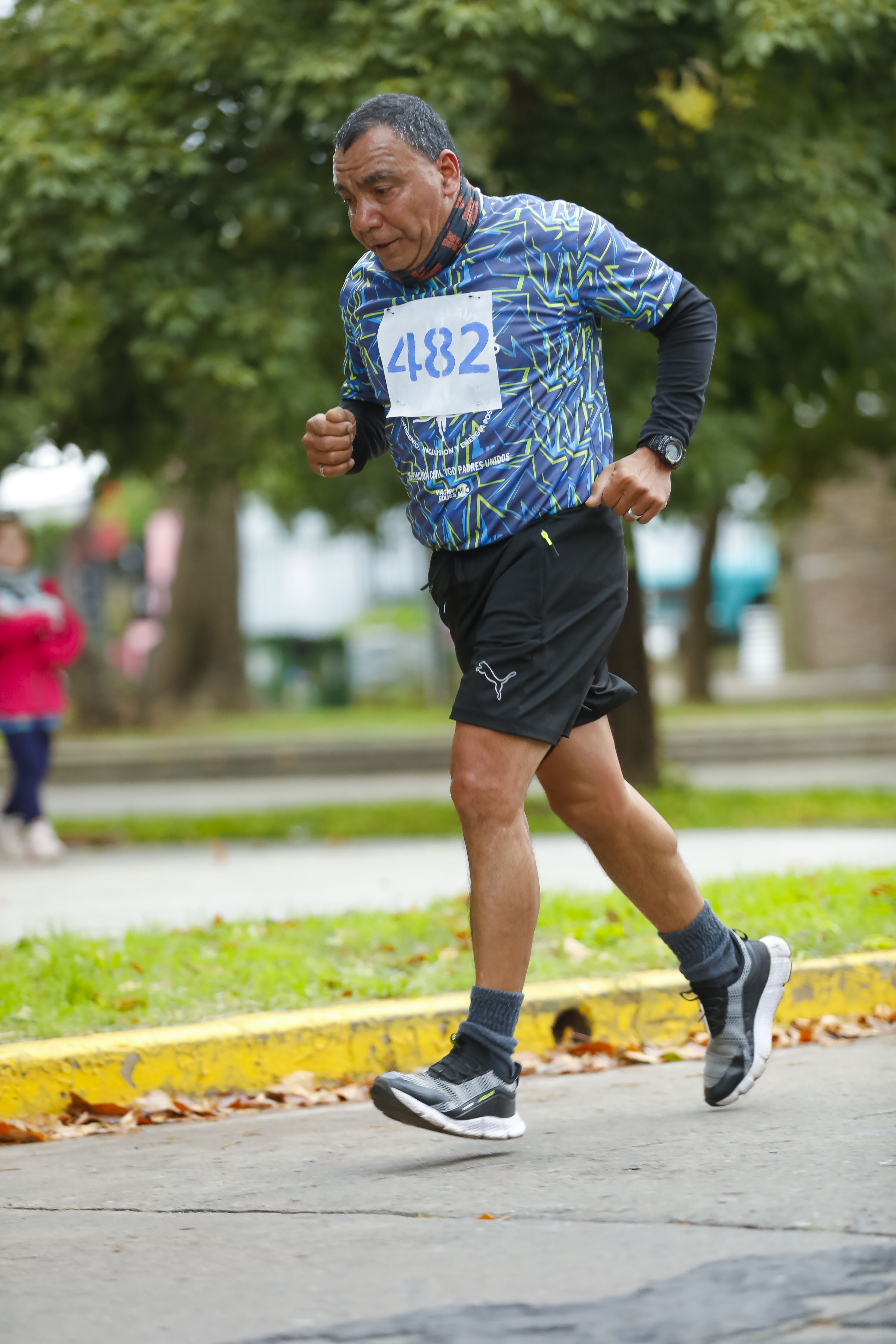Foto Dorsal 482