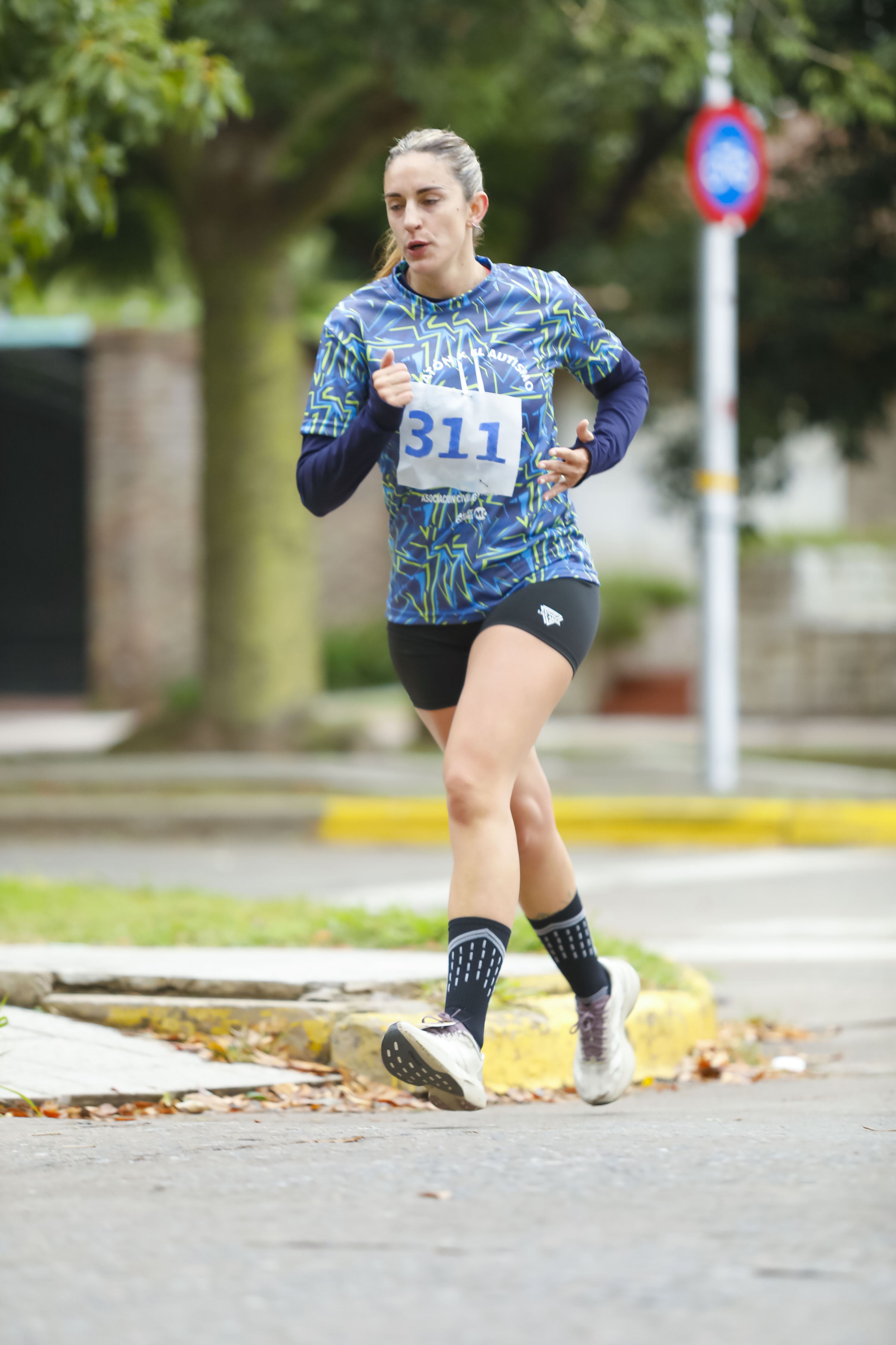 Foto Dorsal 311