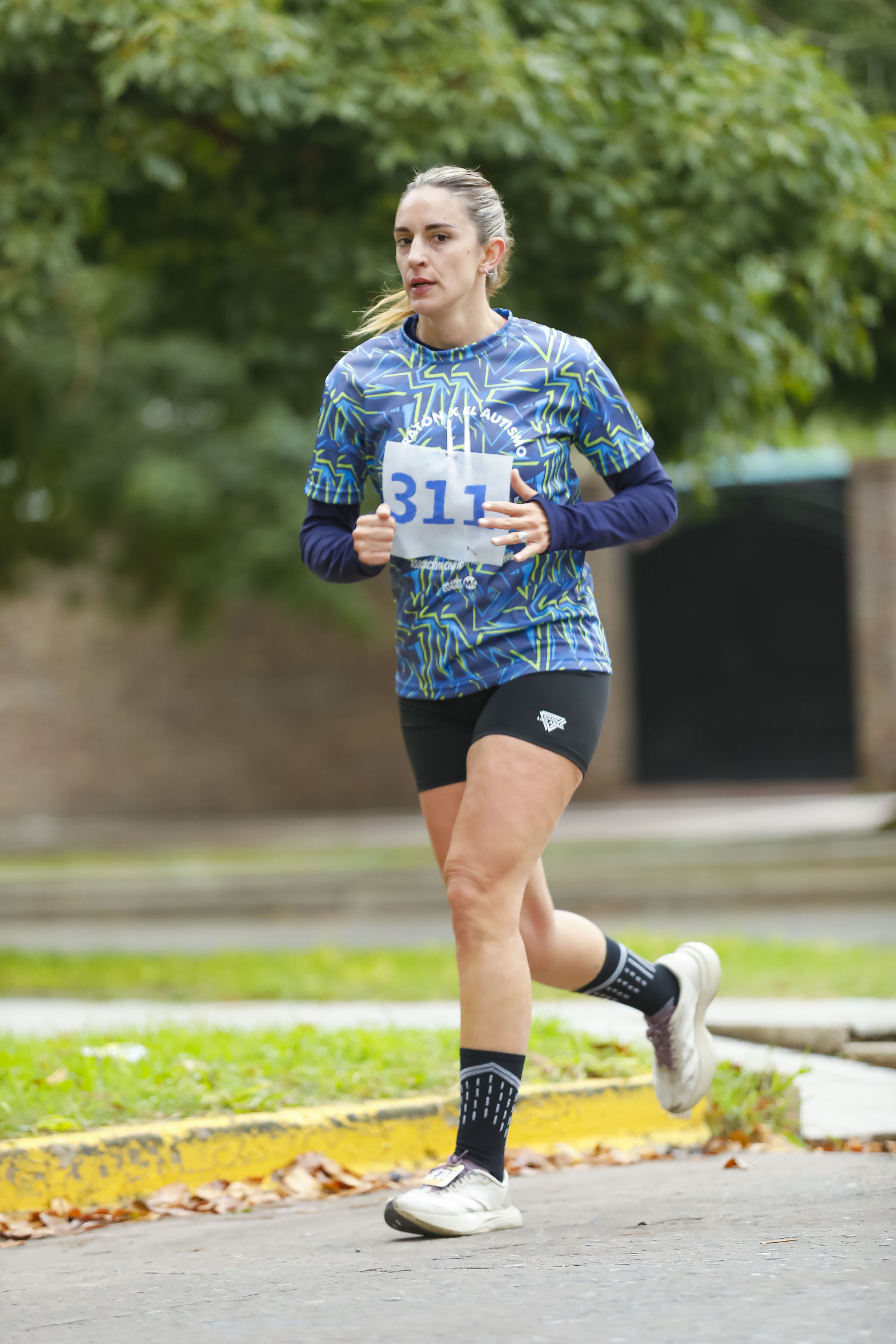 Foto Dorsal 311
