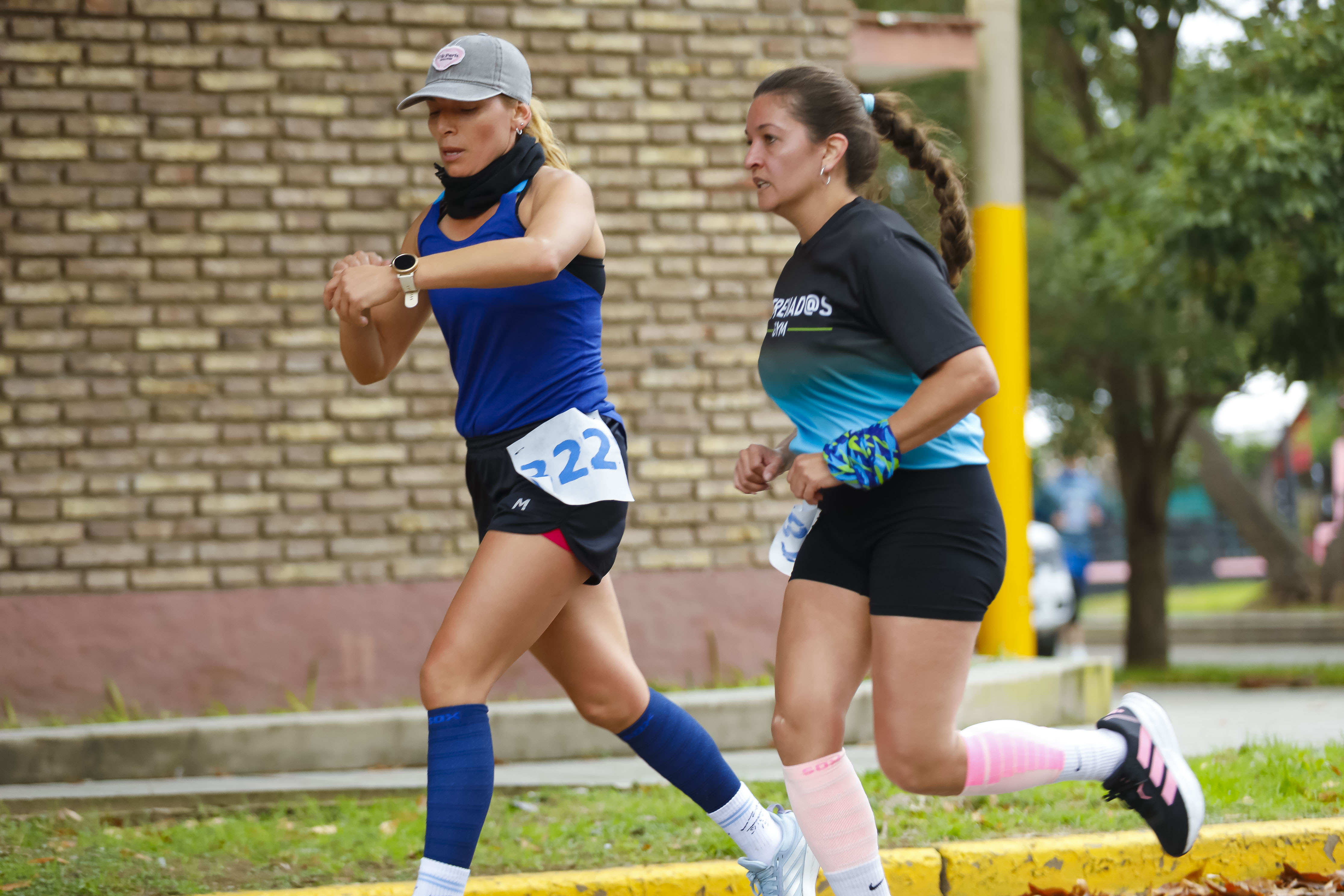 Foto Dorsal 22