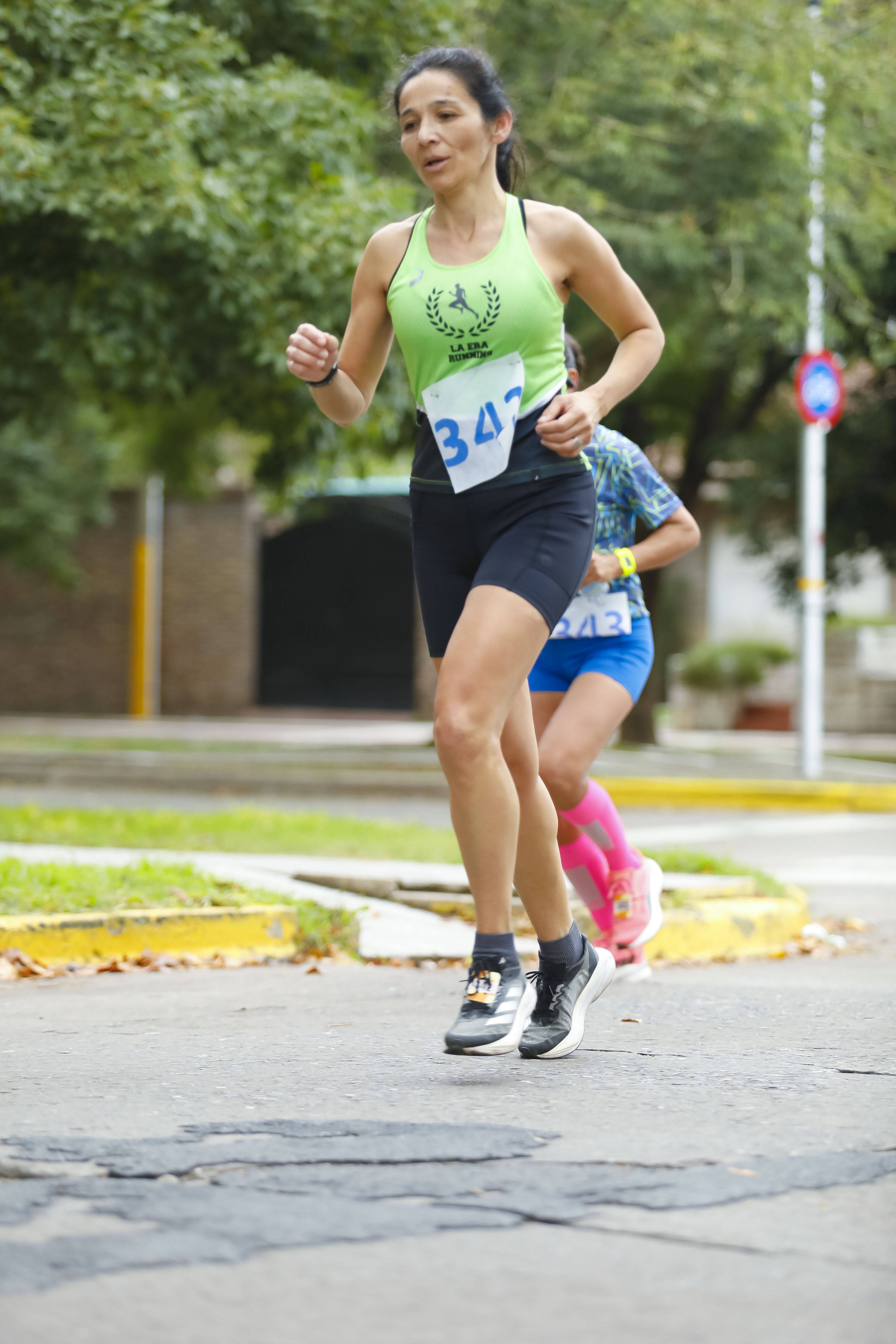 Foto Dorsal 342