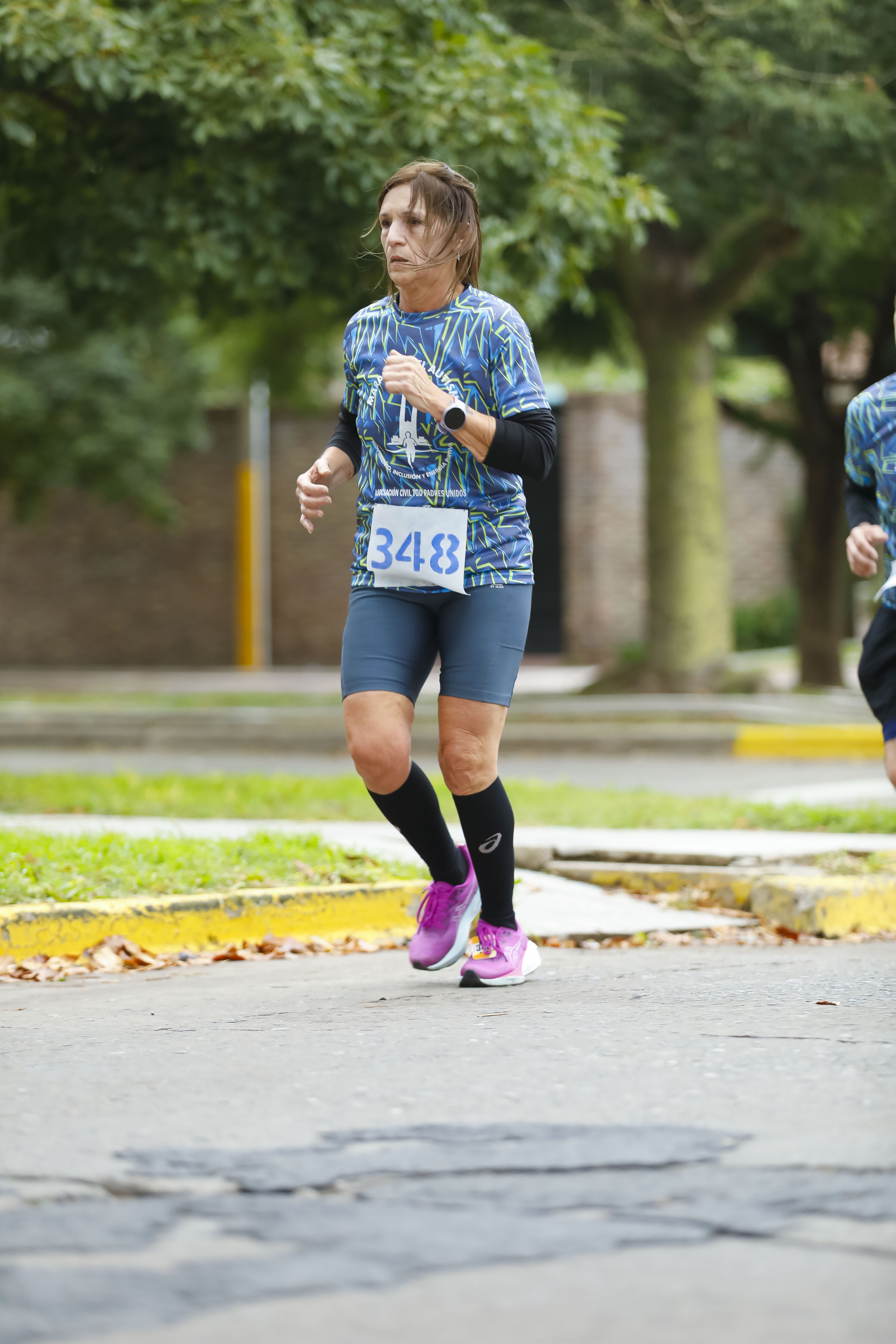 Foto Dorsal 348