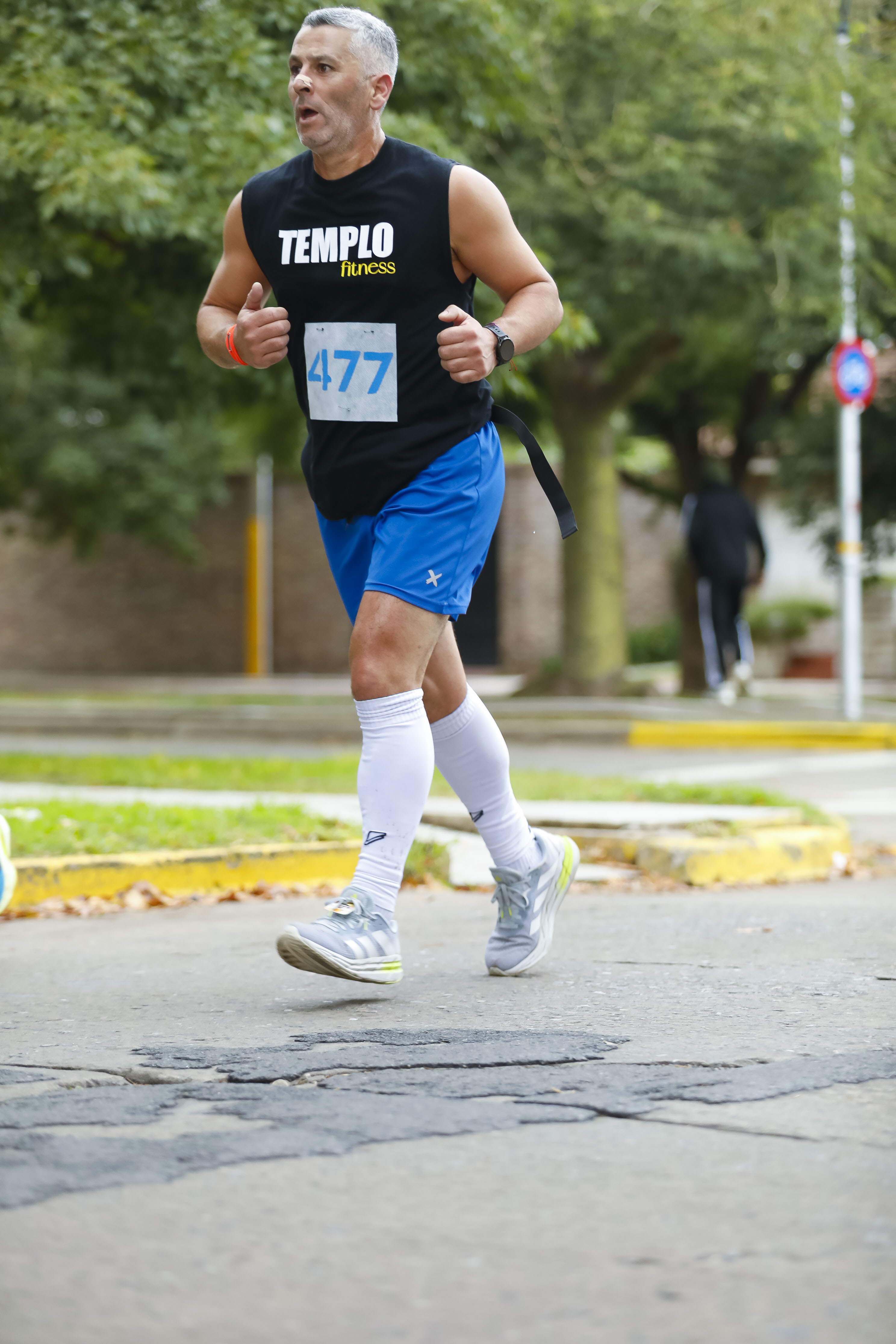 Foto Dorsal 477