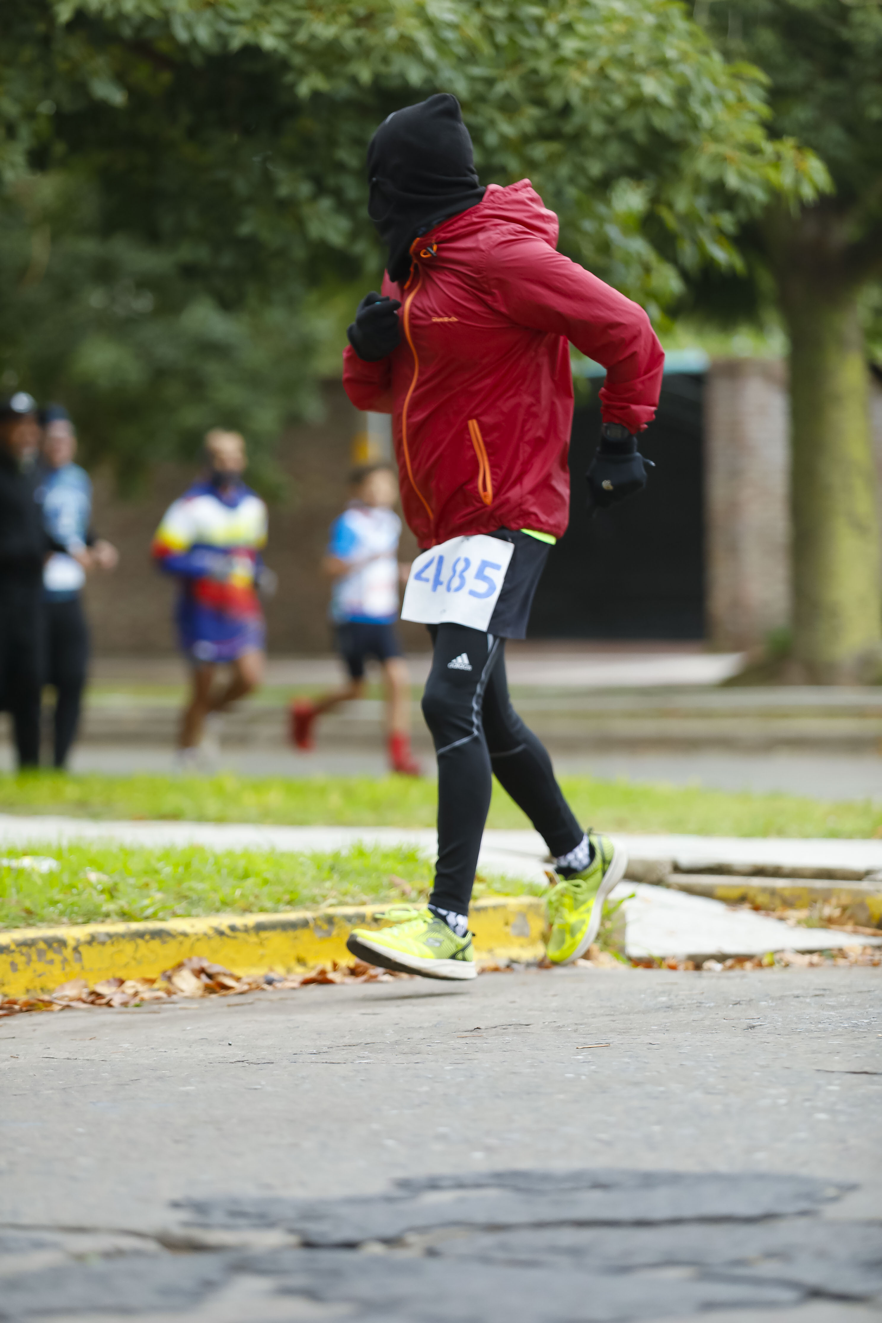 Foto Dorsal 485