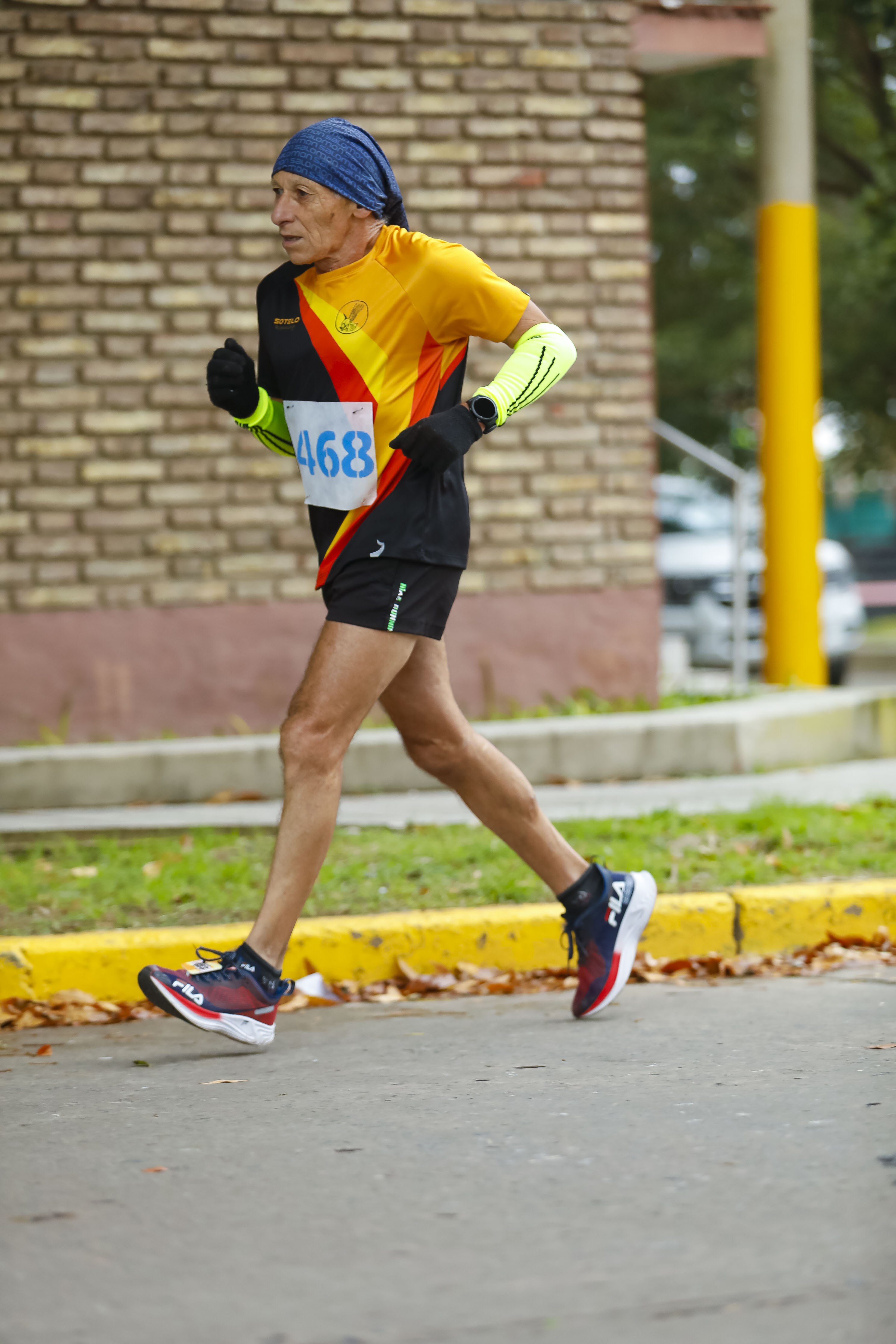 Foto Dorsal 468