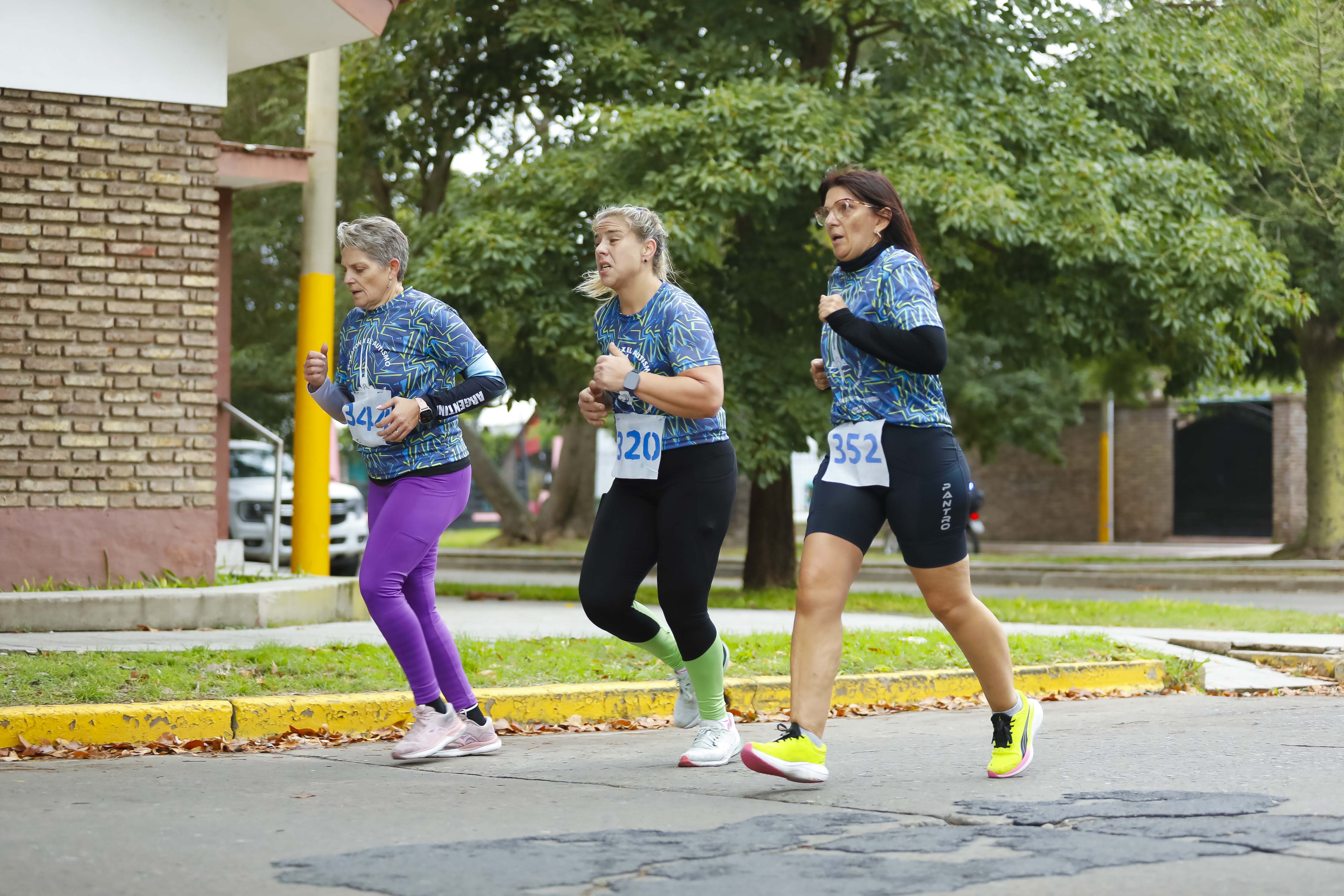Foto Dorsal 352