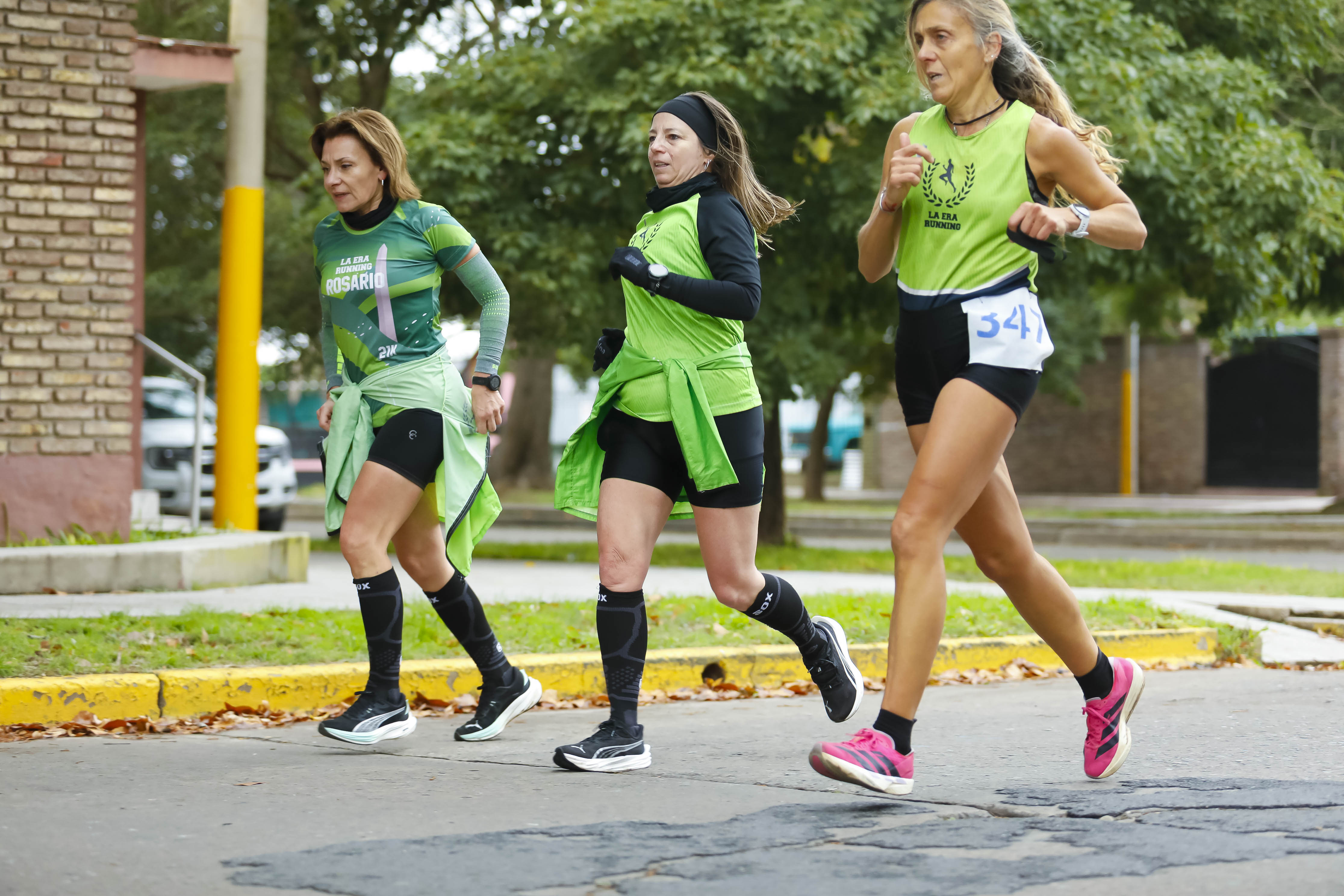 Foto Dorsal 347