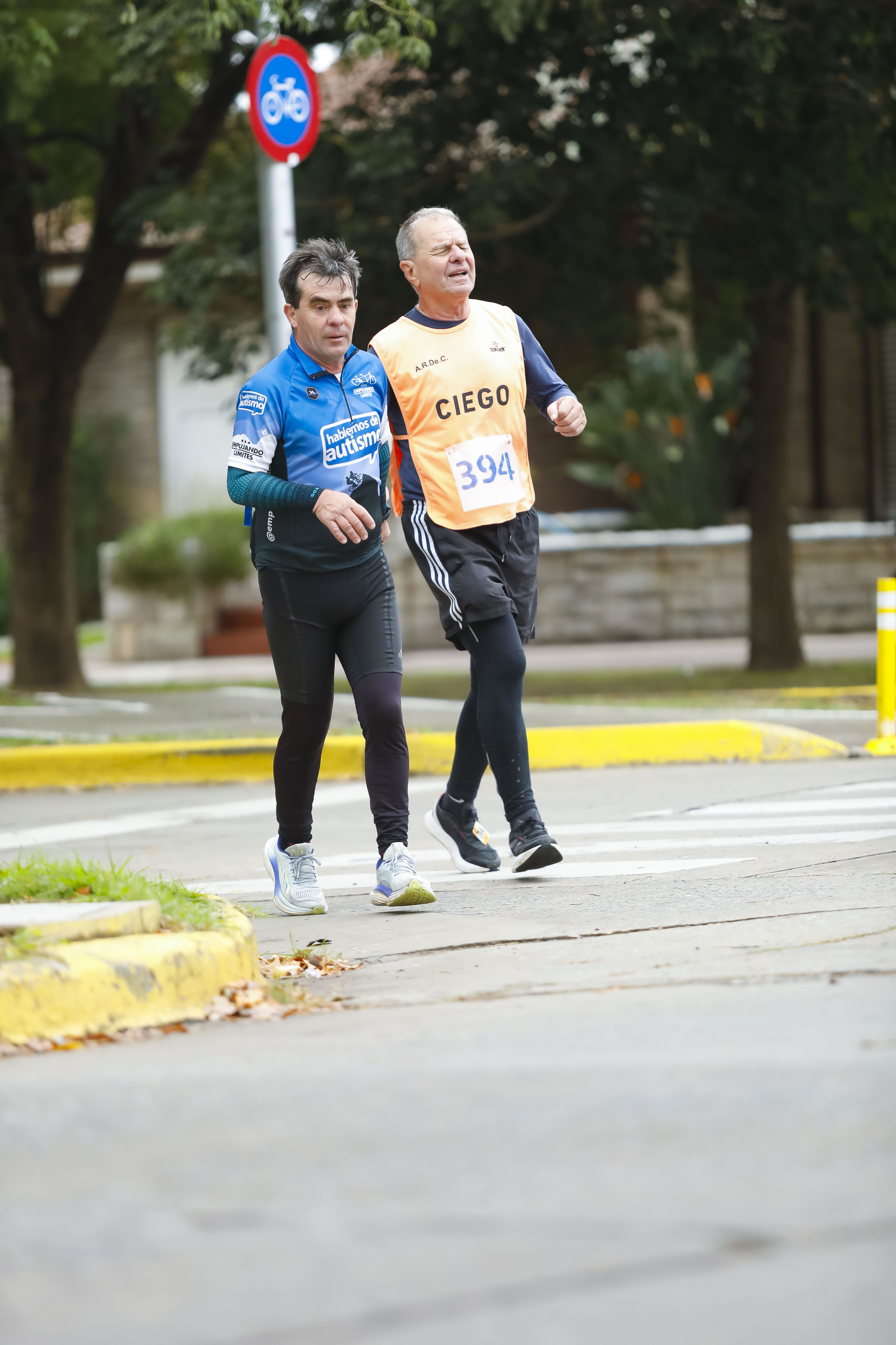 Foto Dorsal 394