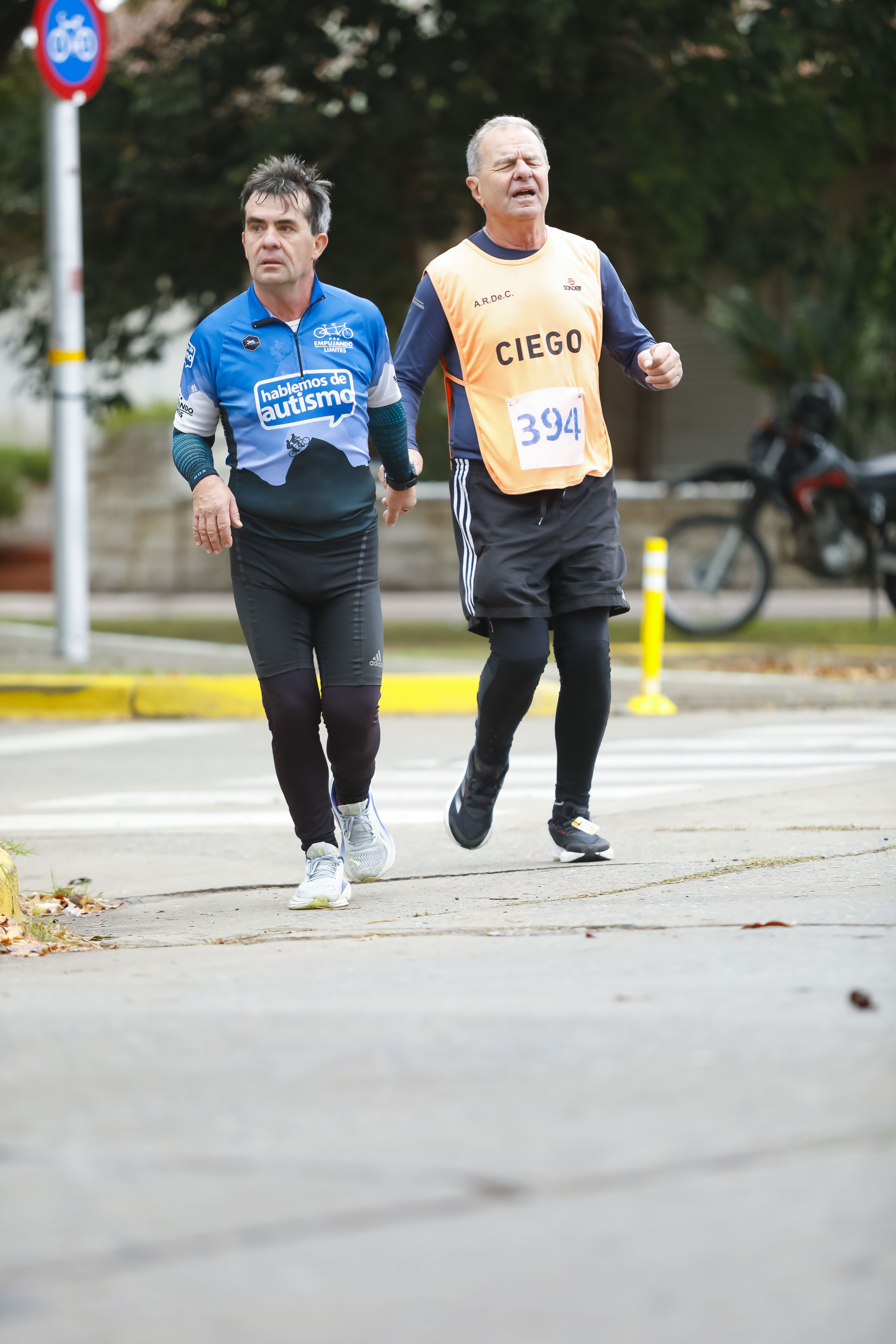 Foto Dorsal 394