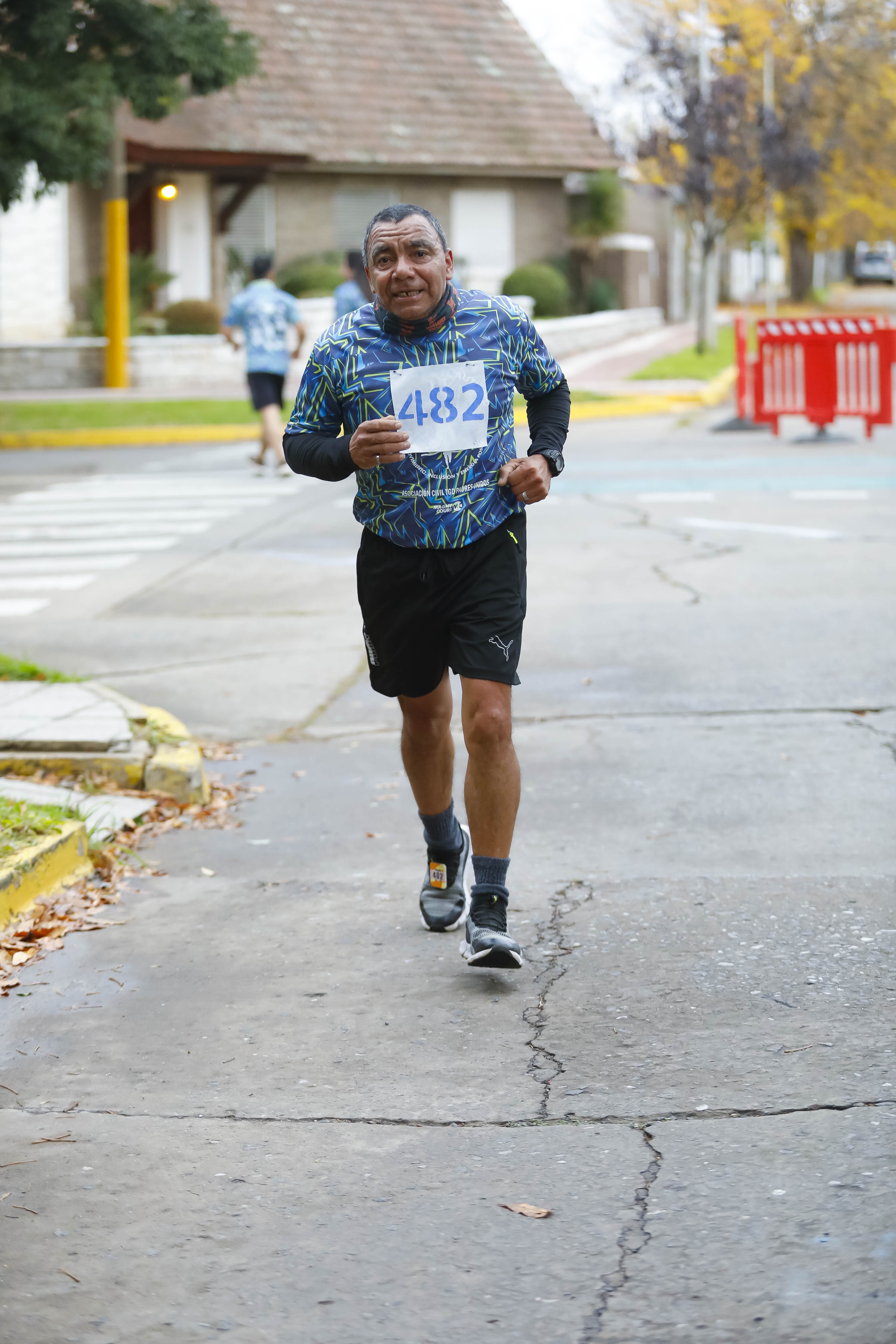 Foto Dorsal 482