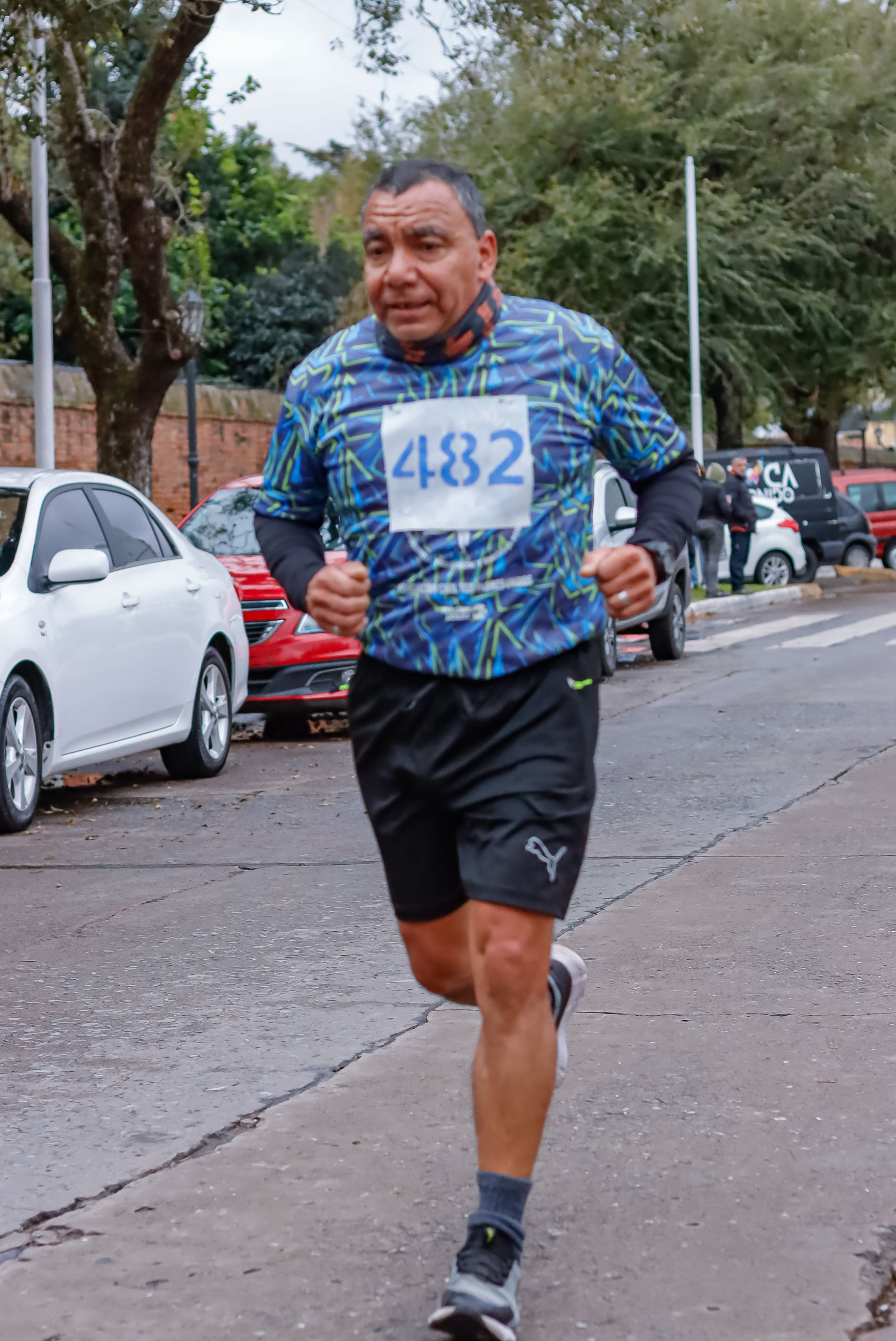 Foto Dorsal 482