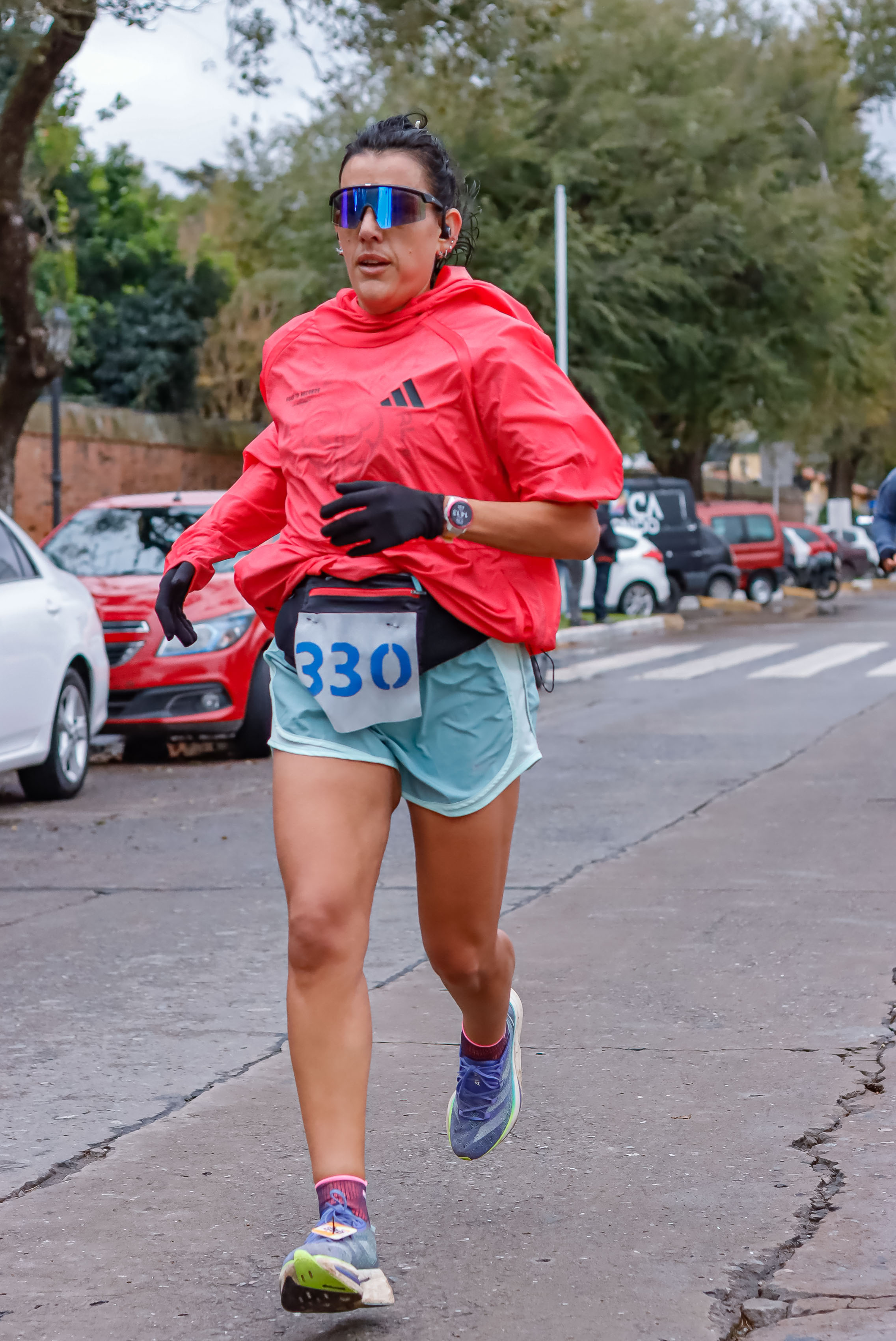 Foto Dorsal 330