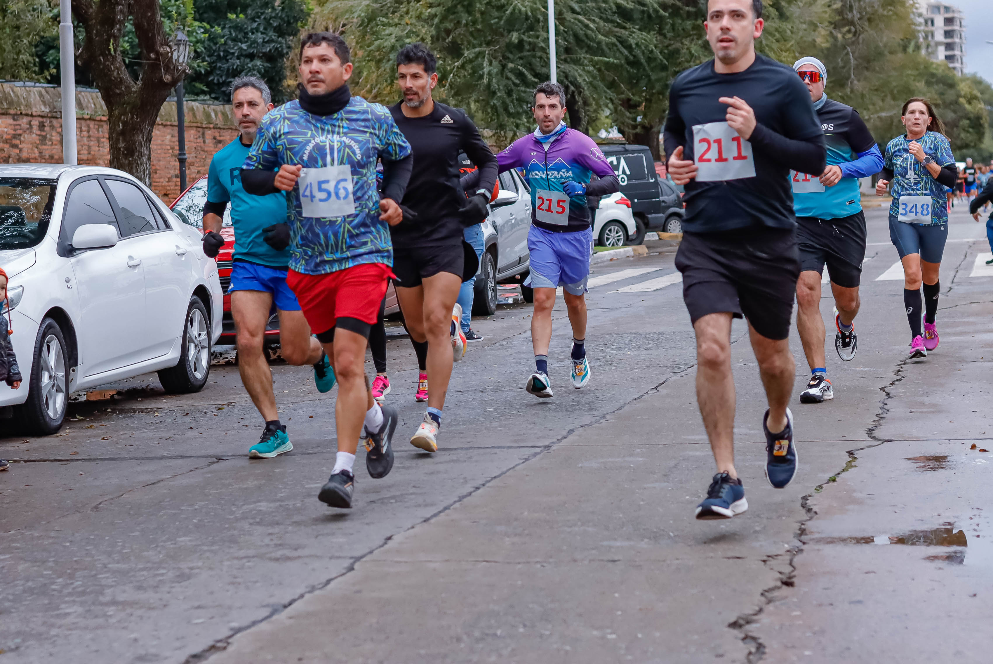 Foto Dorsal 348