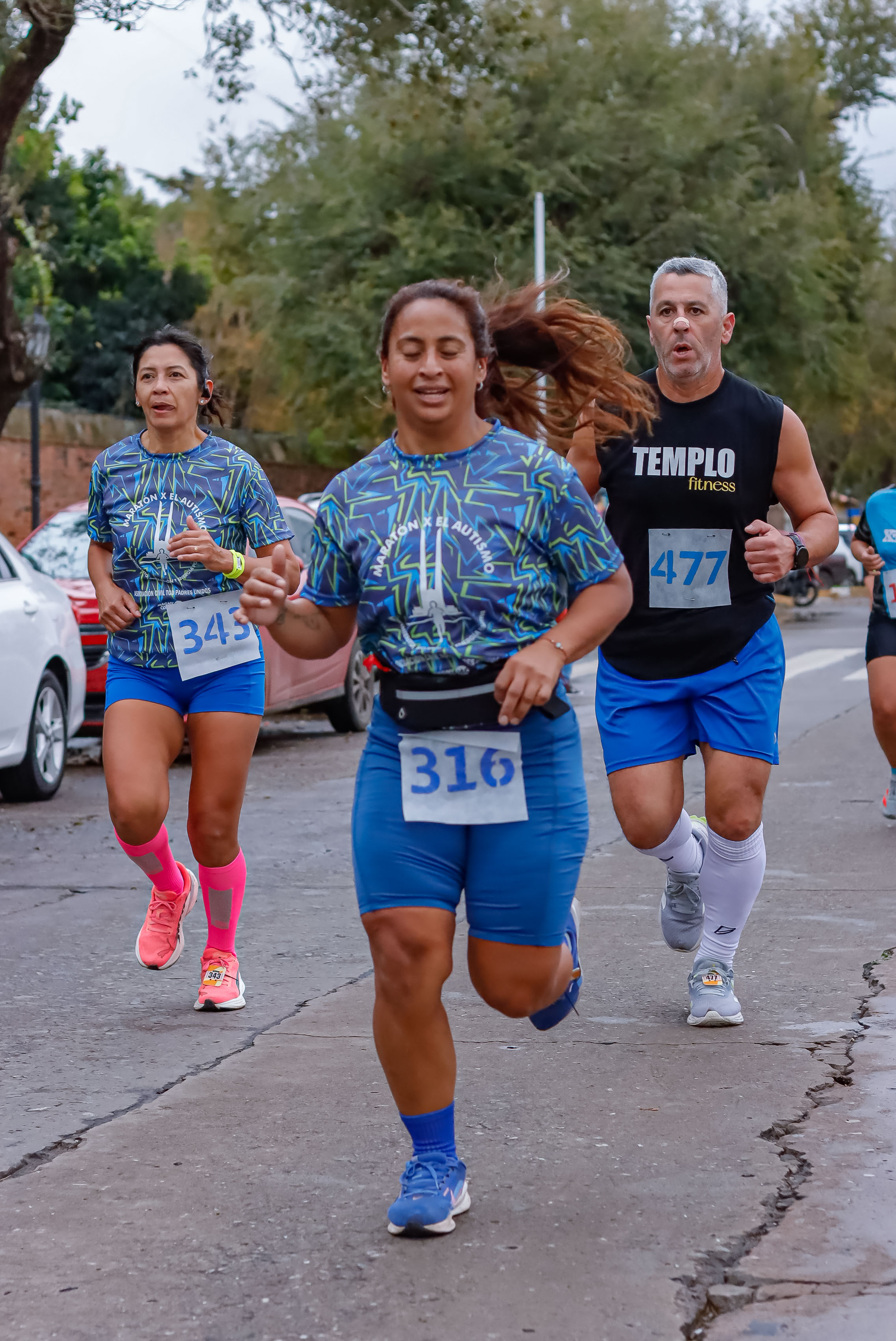 Foto Dorsal 477
