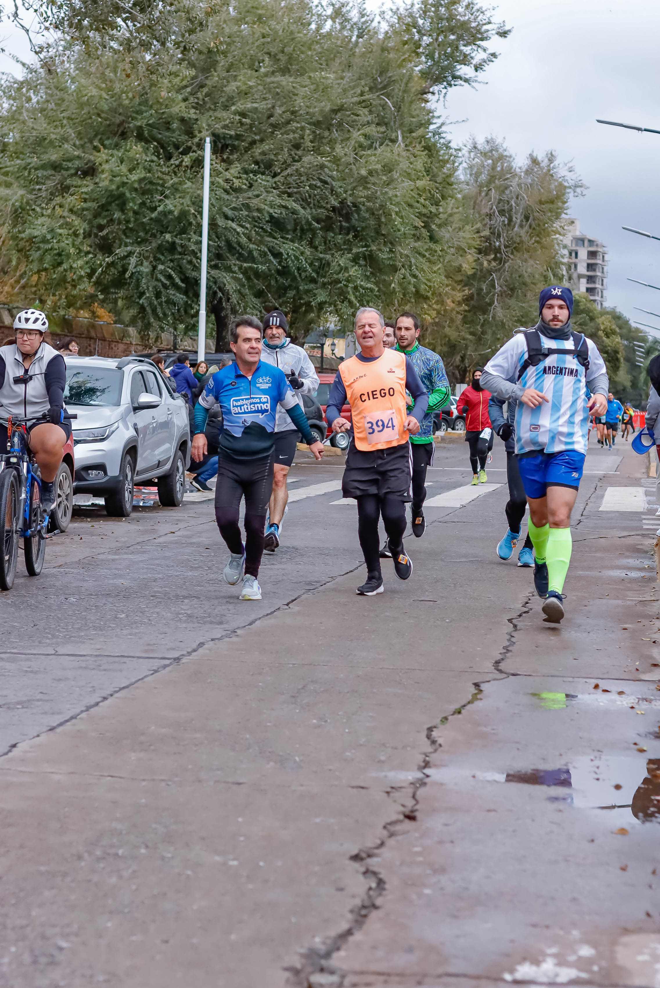 Foto Dorsal 394