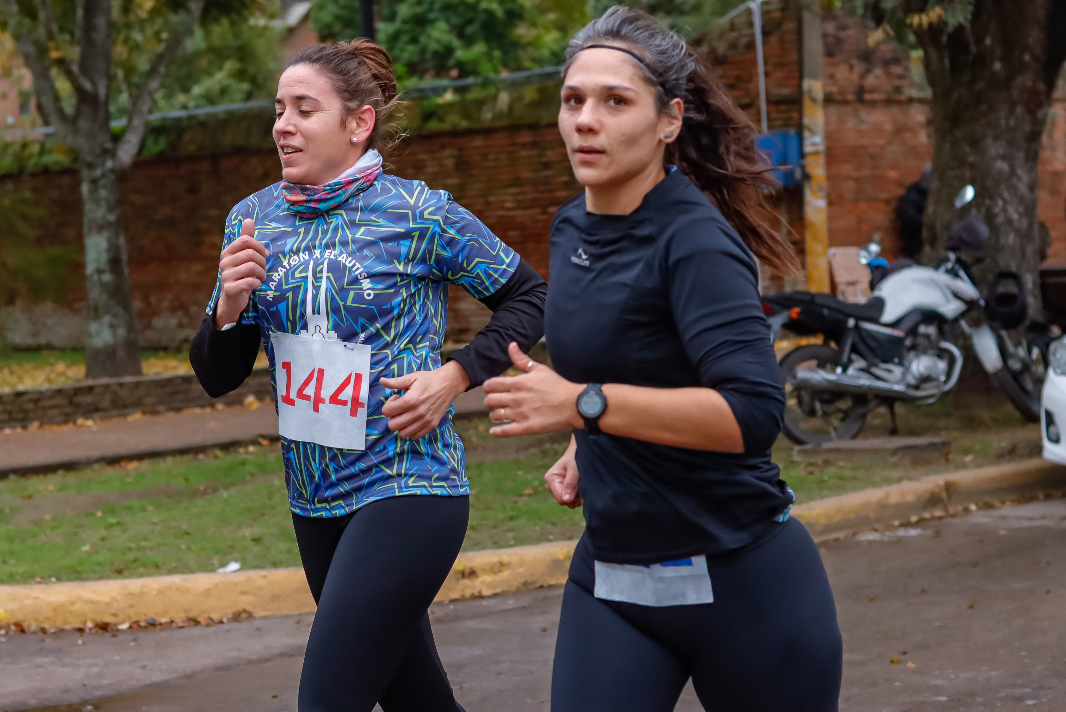 Foto Dorsal 144