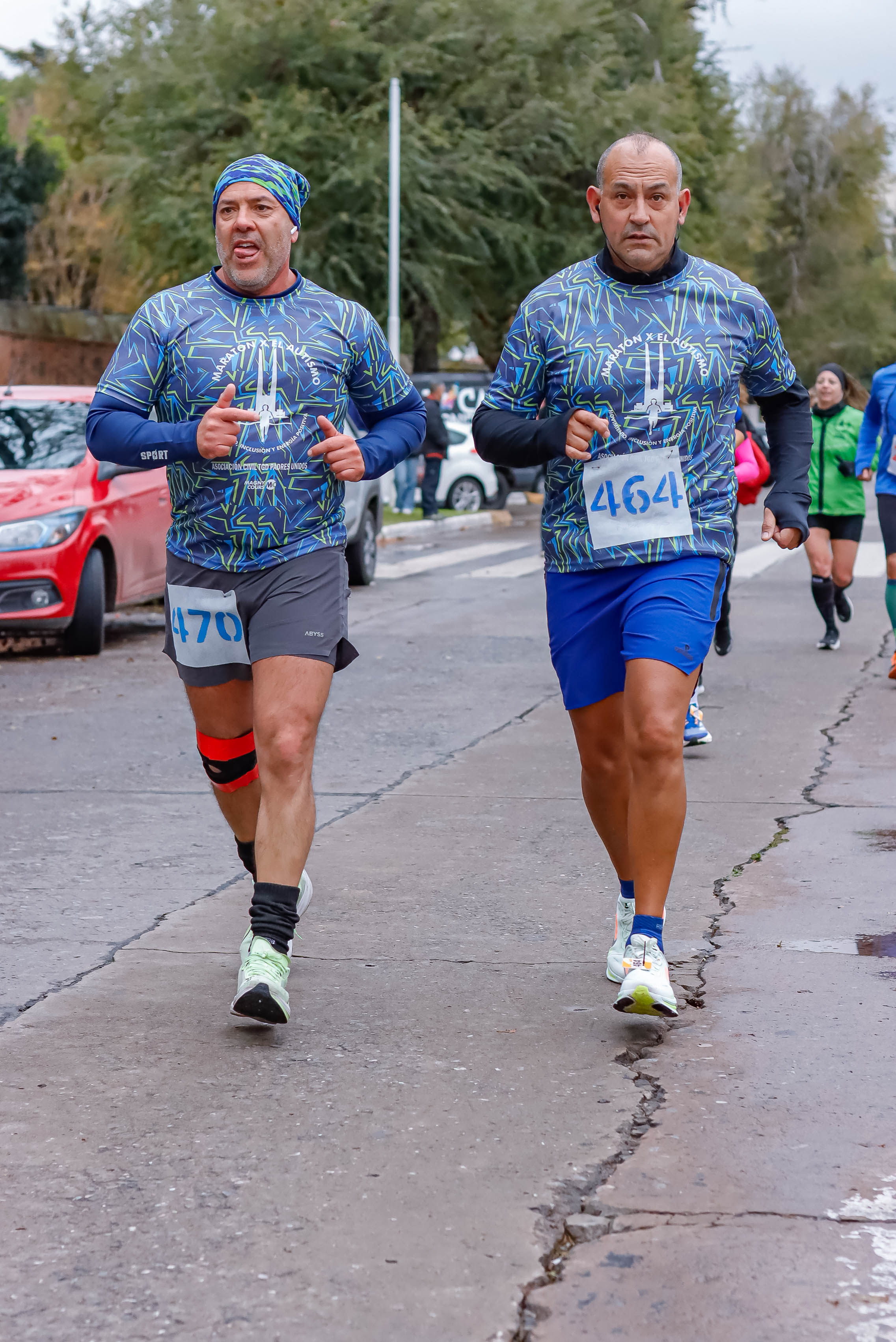 Foto Dorsal 464