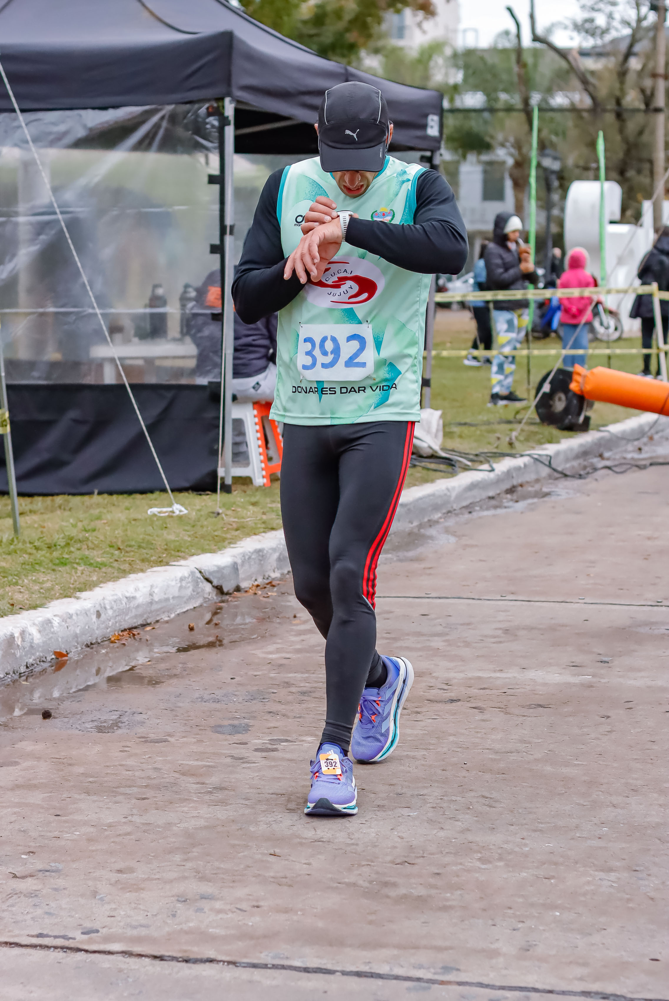 Foto Dorsal 392