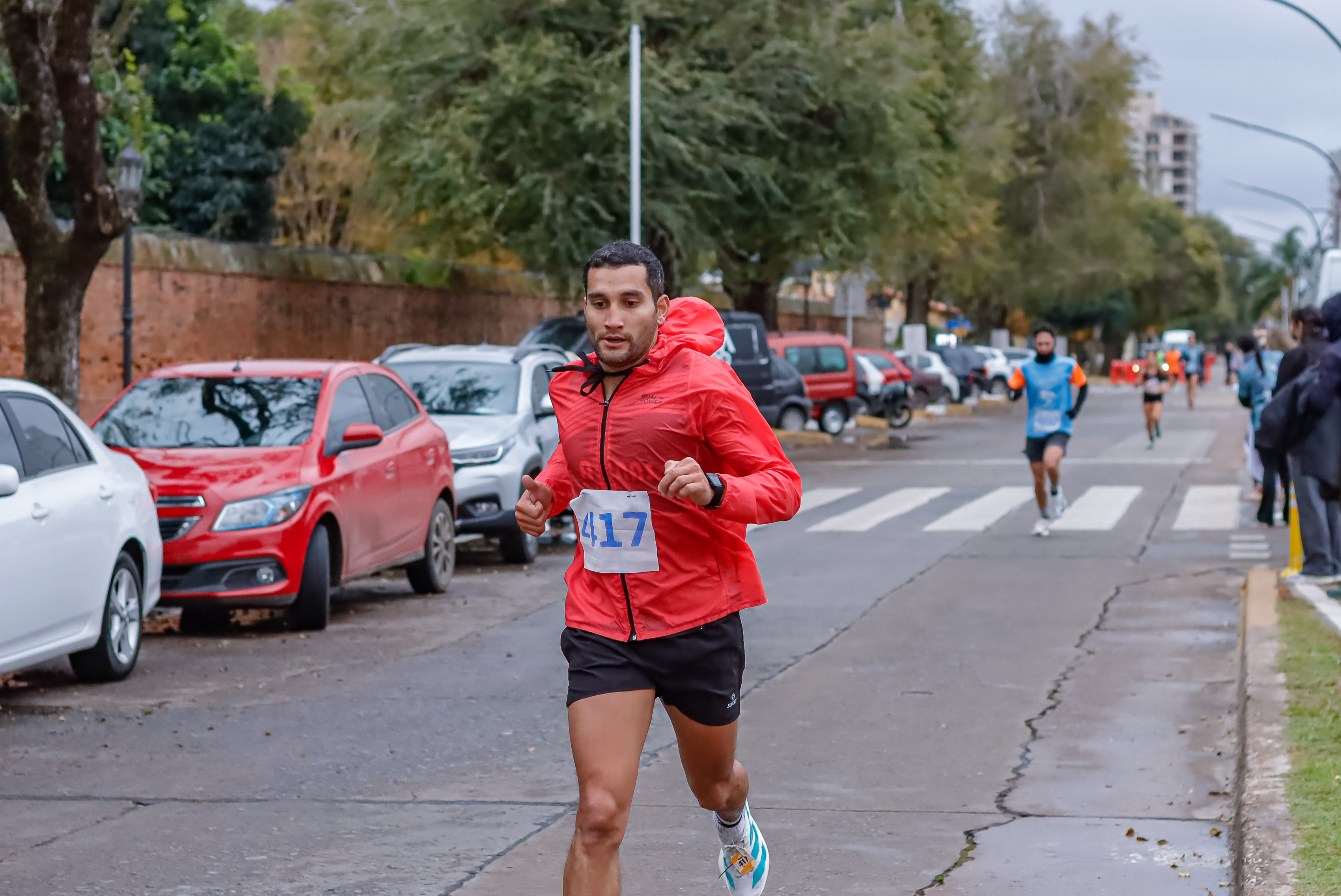 Foto Dorsal 417