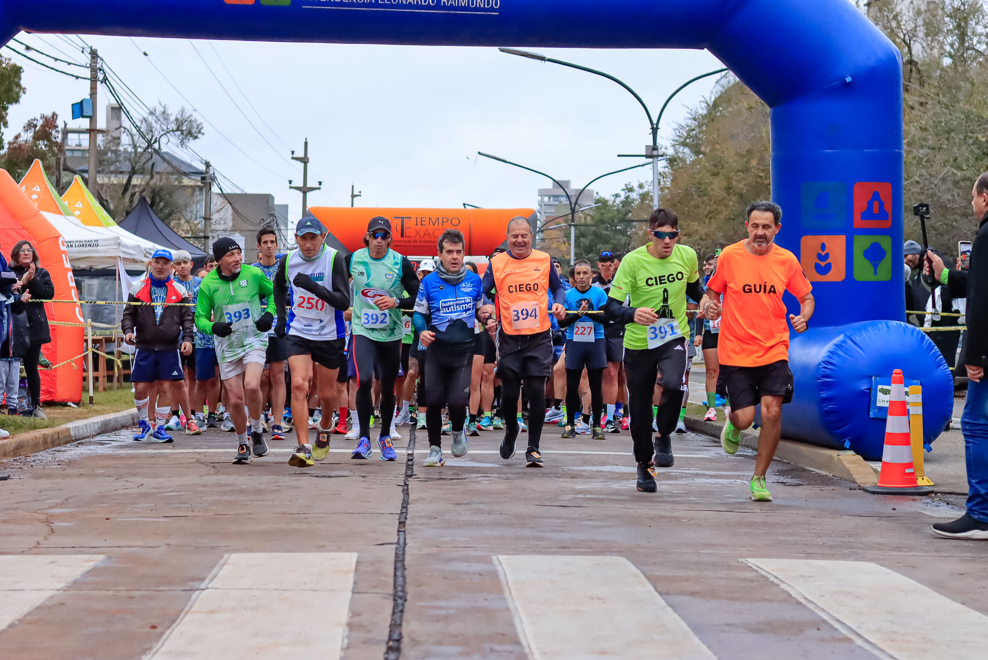 Foto Dorsal 394