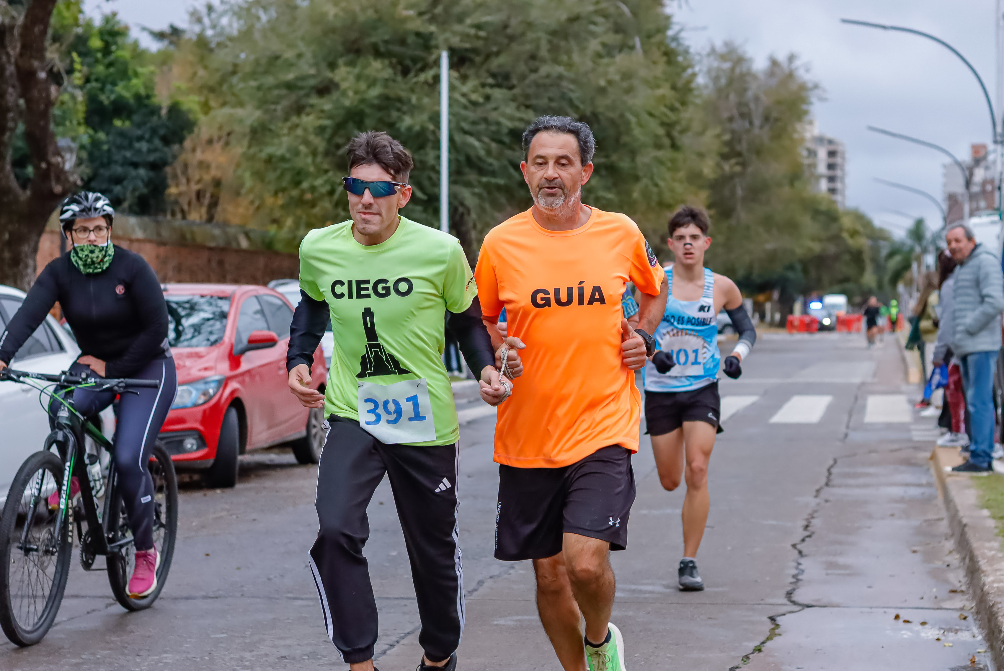Foto Dorsal 391