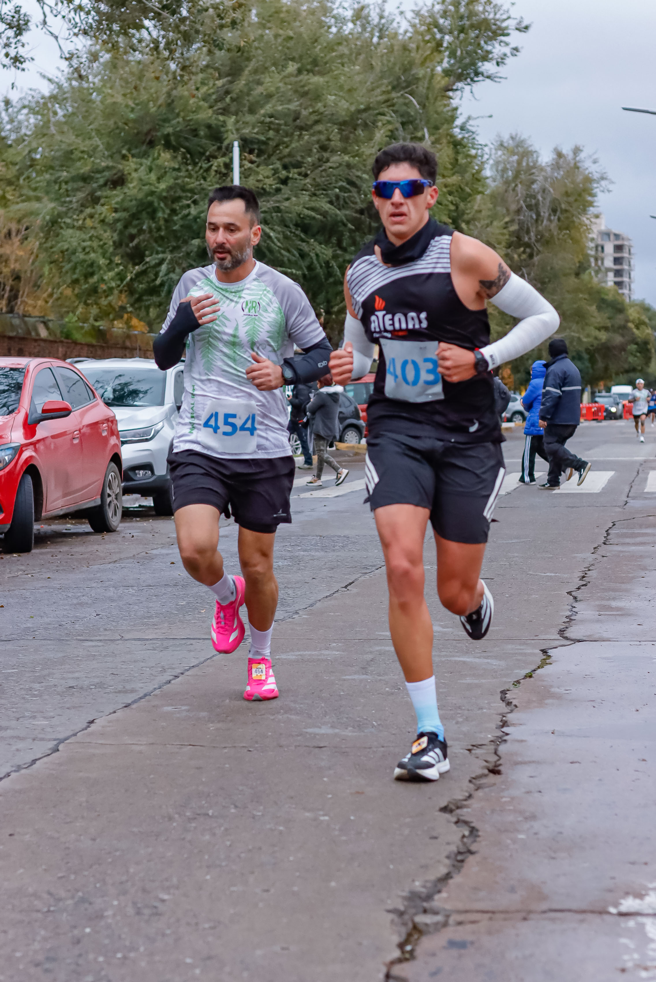 Foto Dorsal 454