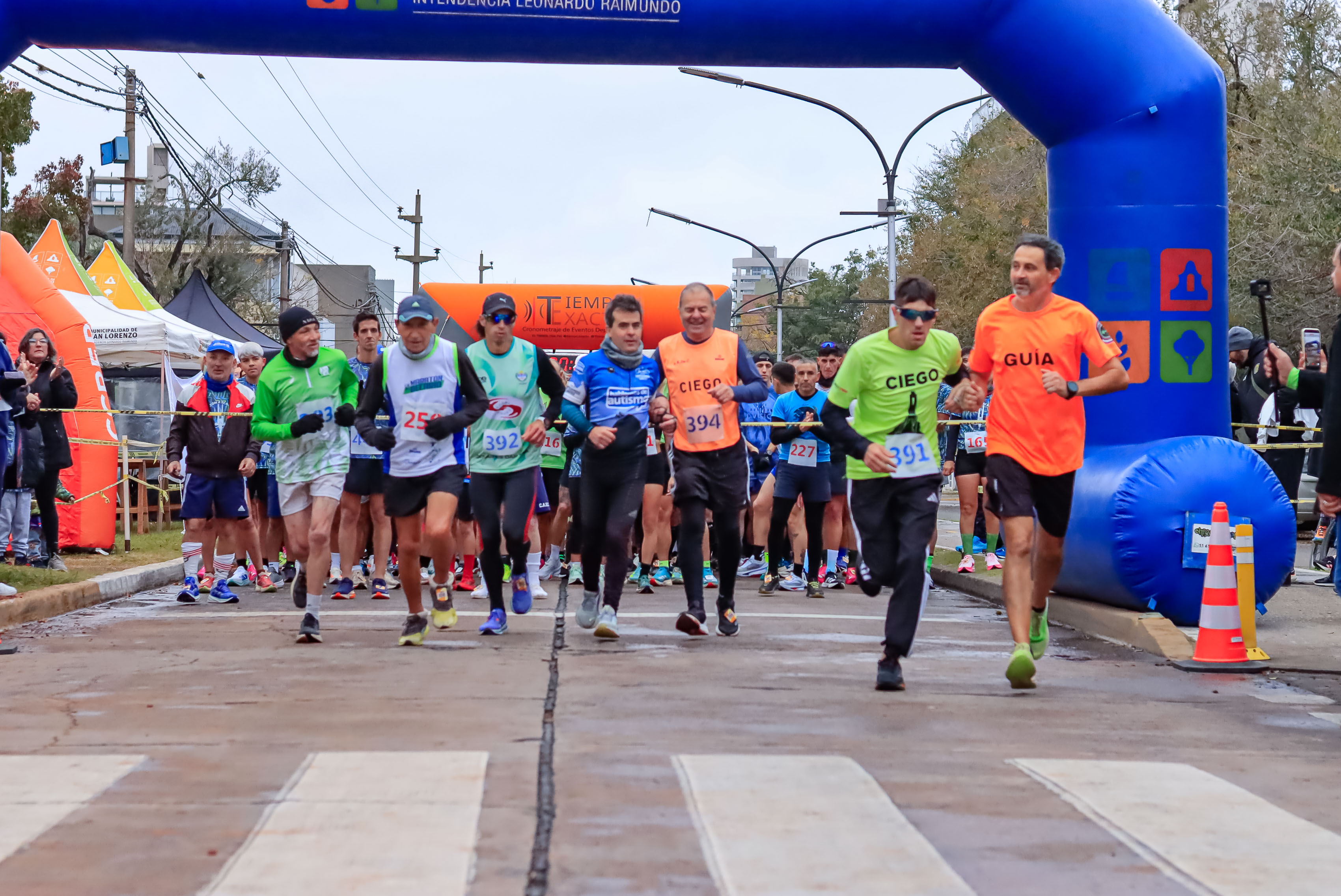 Foto Dorsal 394
