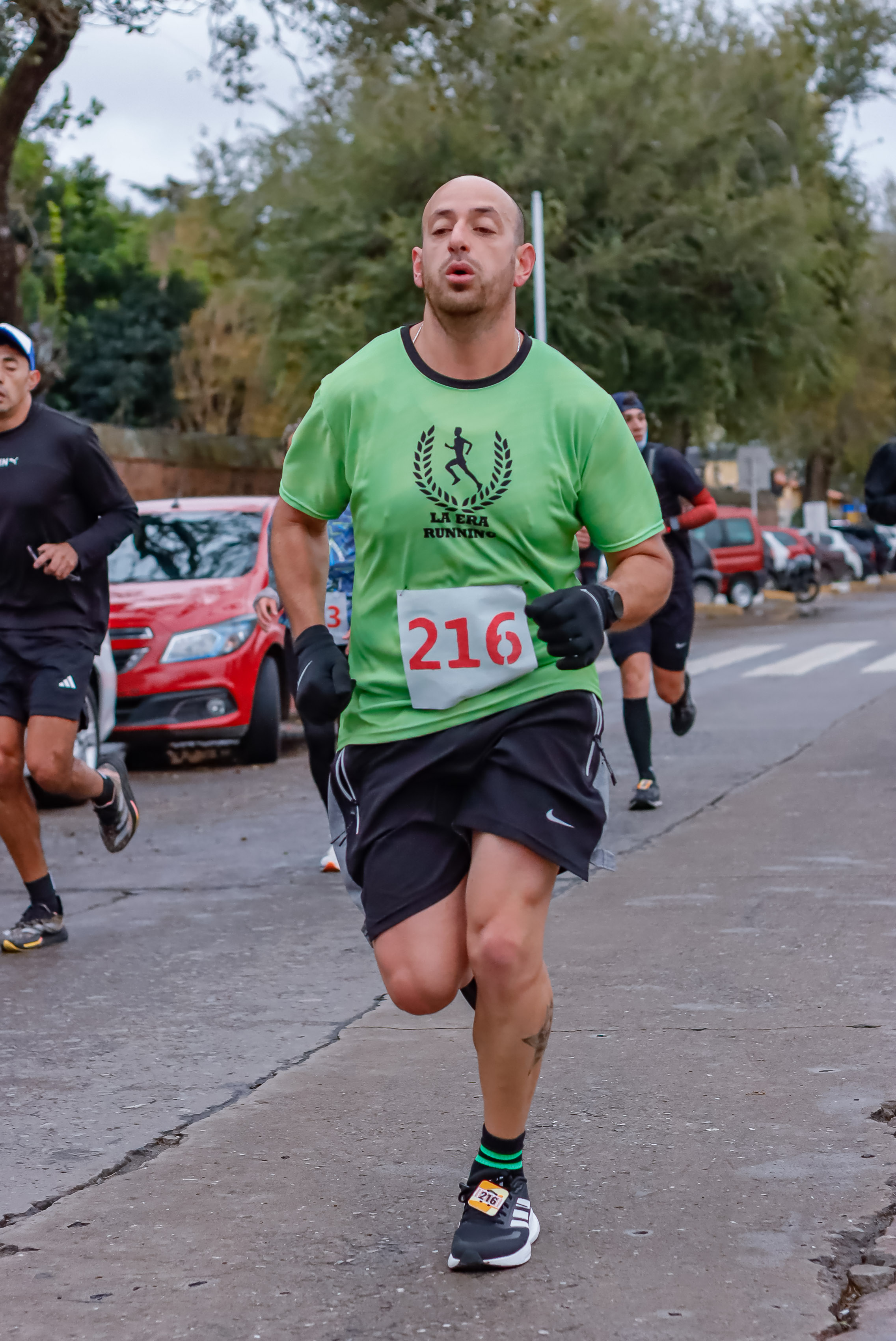 Foto Dorsal 216