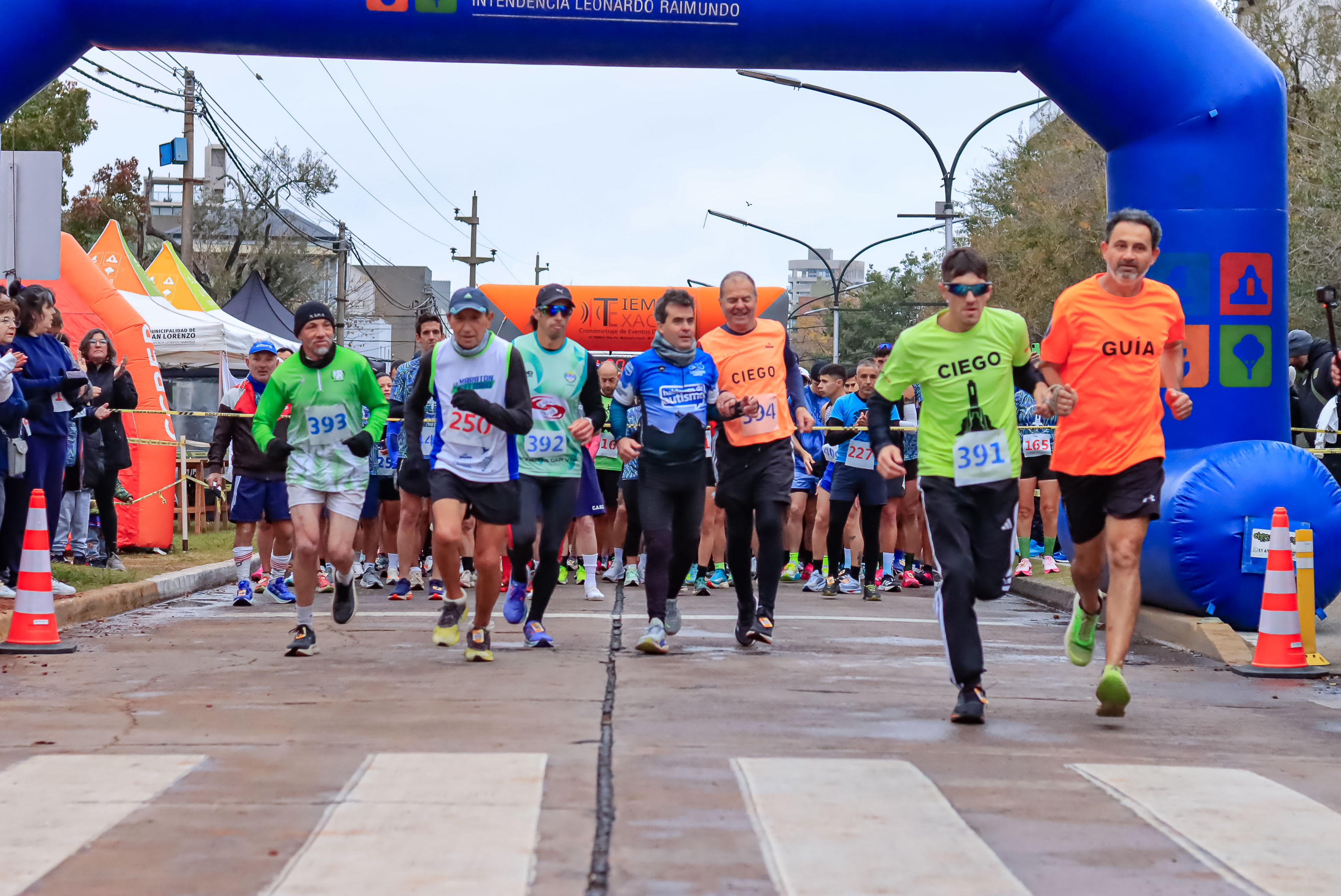 Foto Dorsal 391