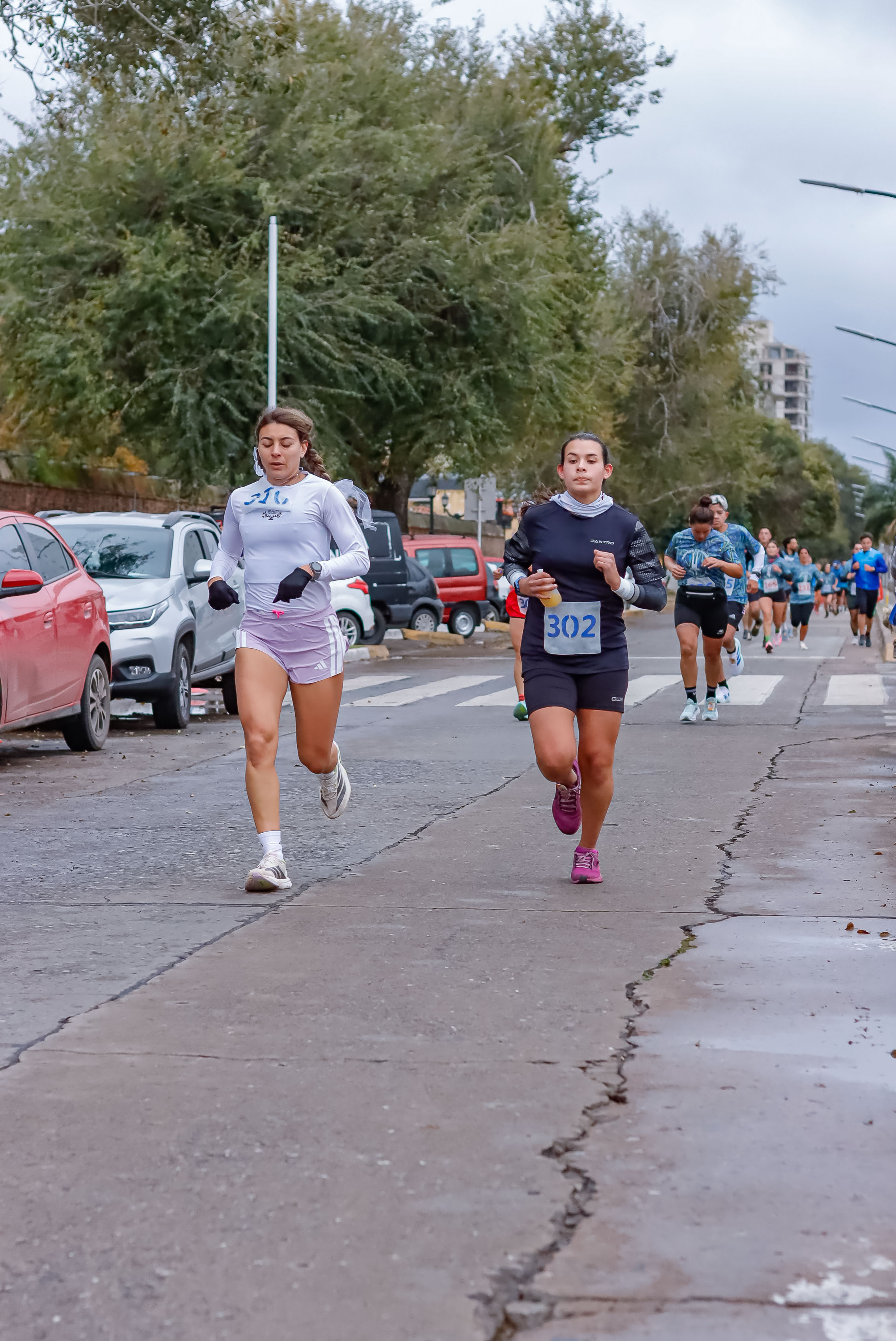 Foto Dorsal 302