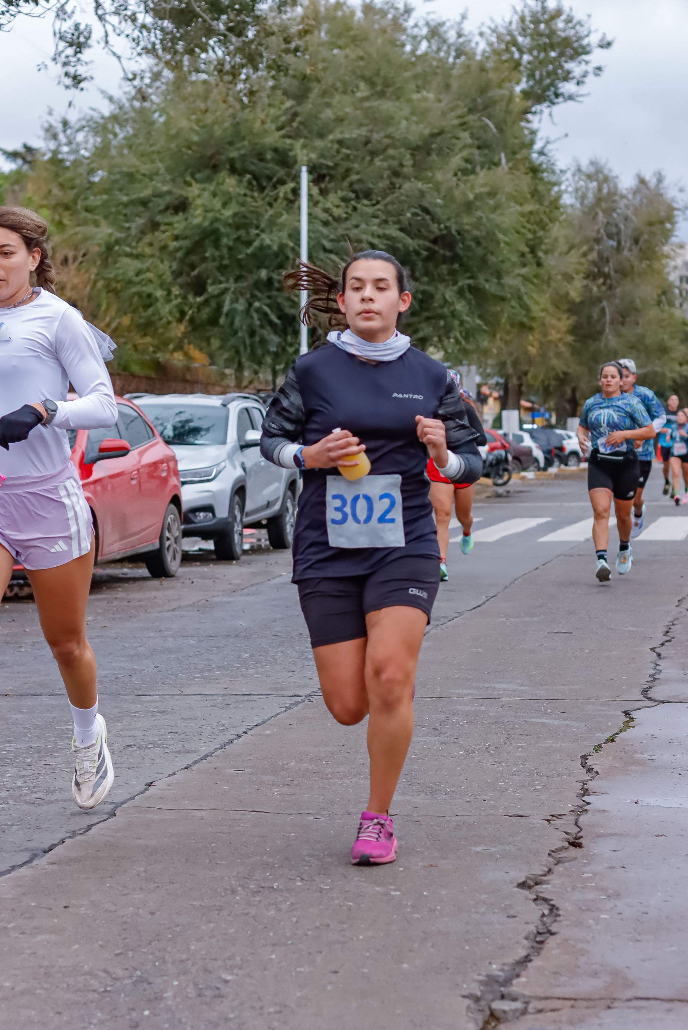 Foto Dorsal 302