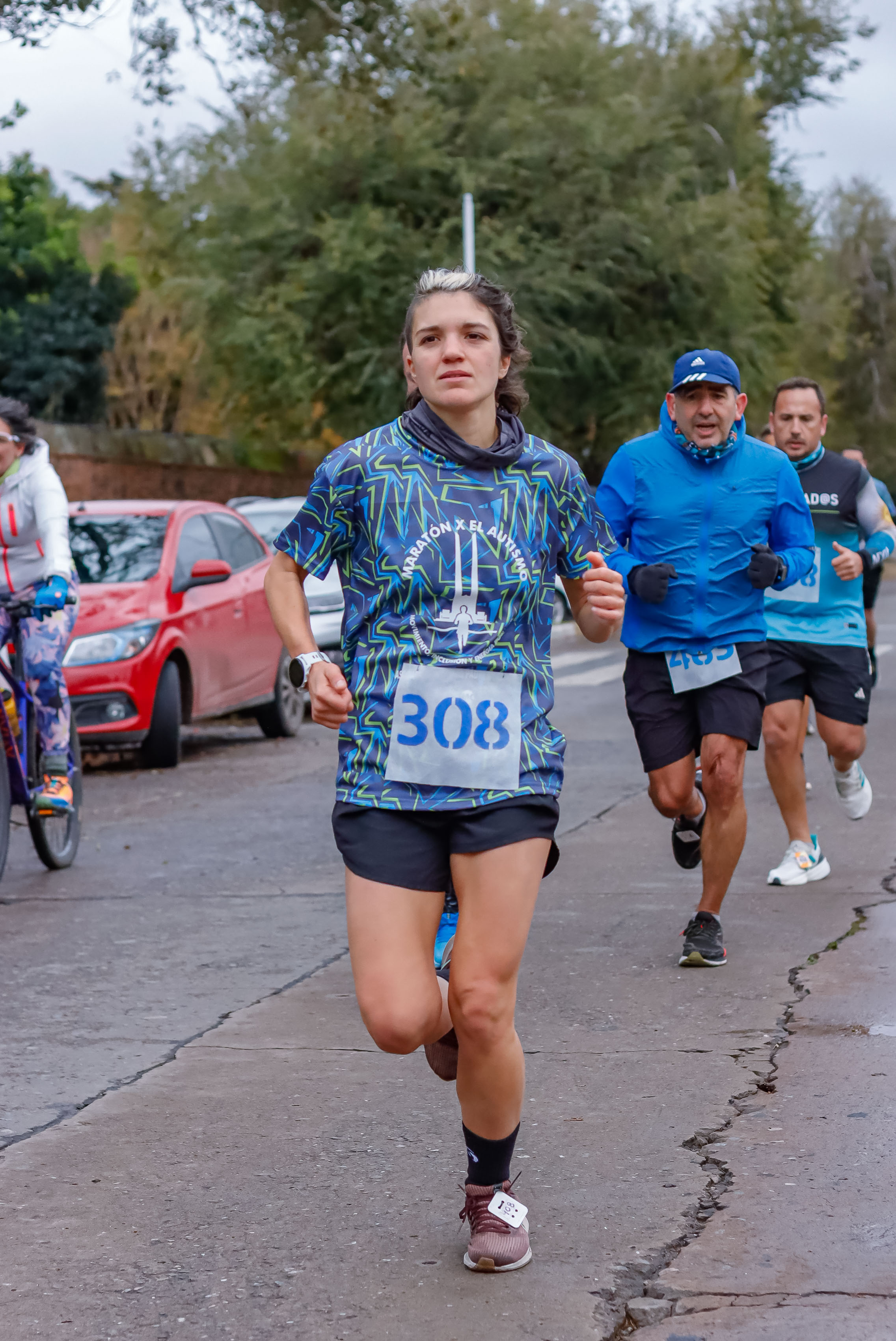 Foto Dorsal 308