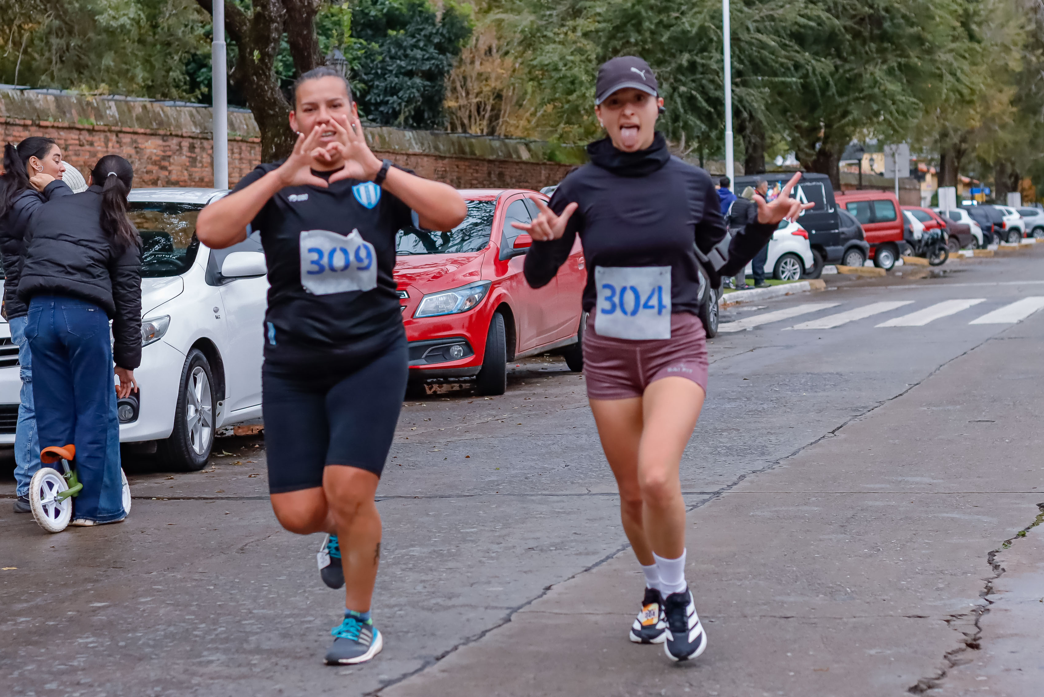Foto Dorsal 304