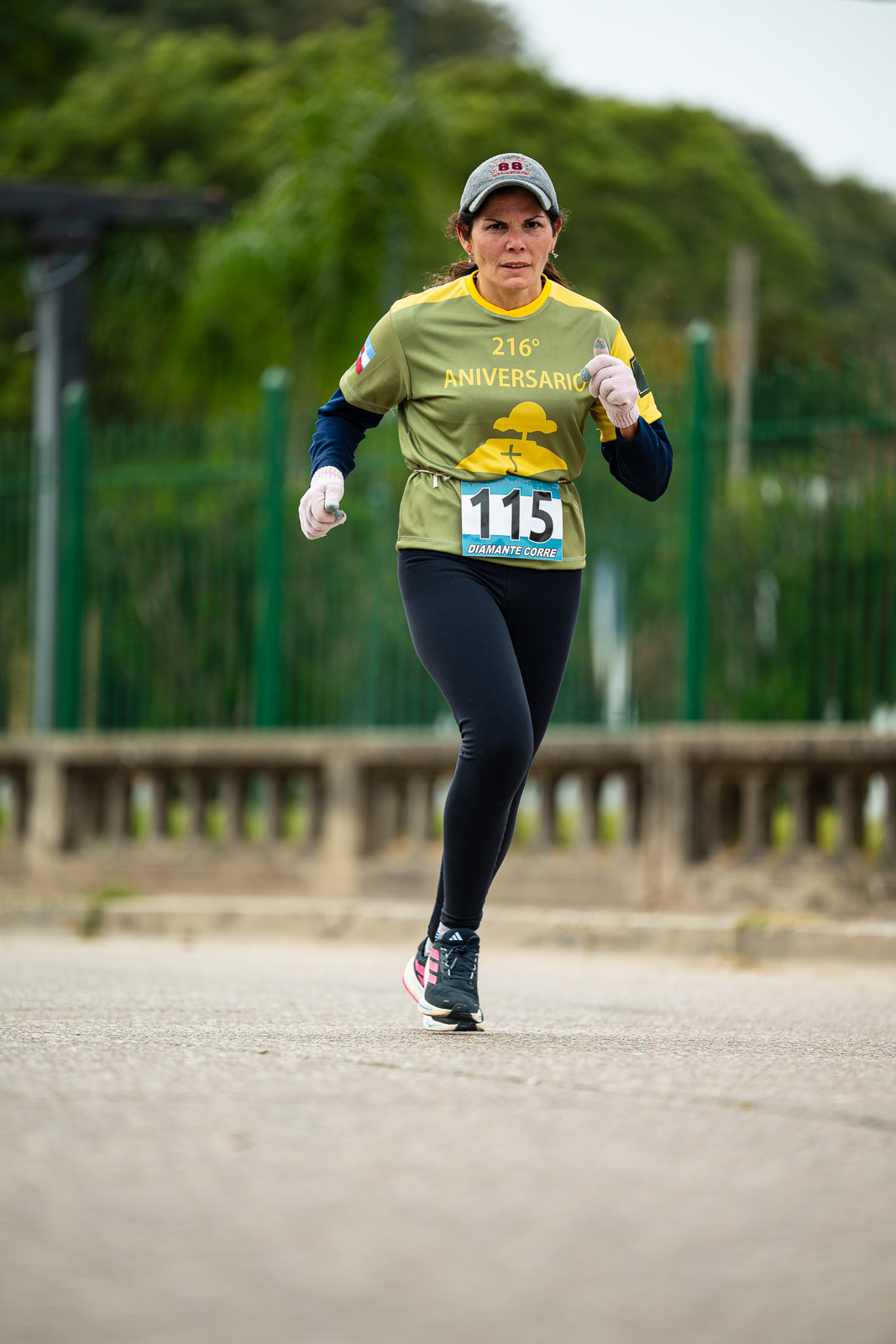 Foto Dorsal 115