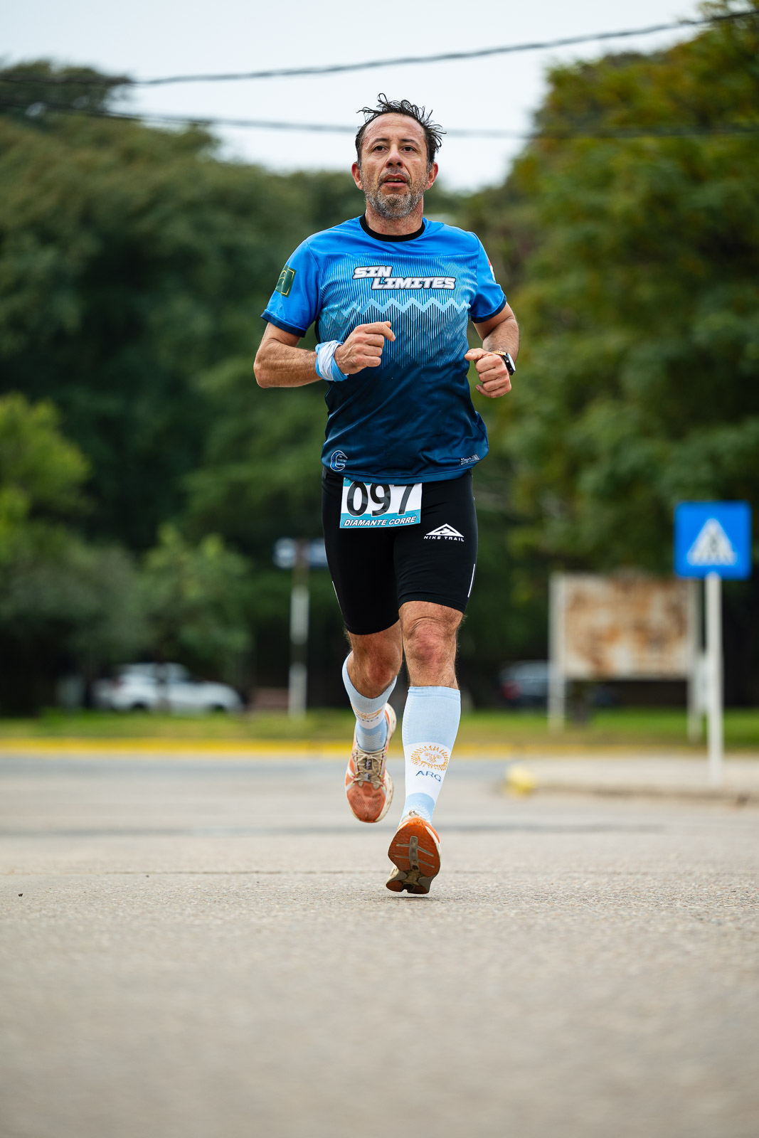 Foto Dorsal 097