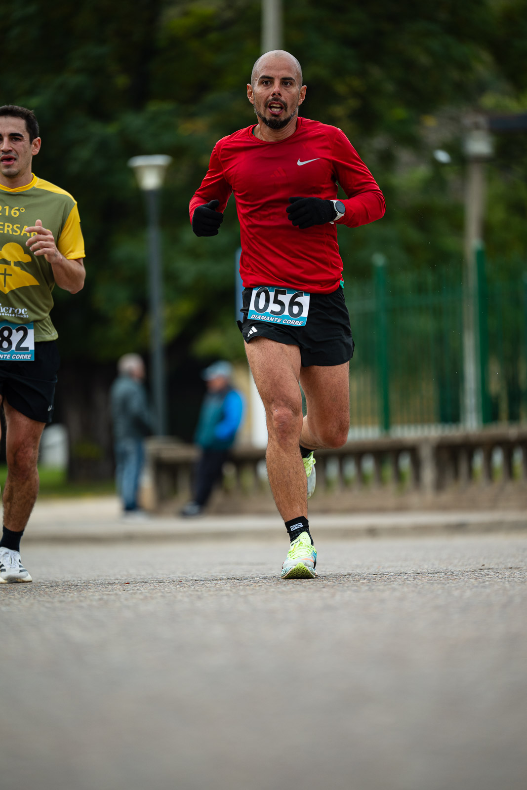 Foto Dorsal 82