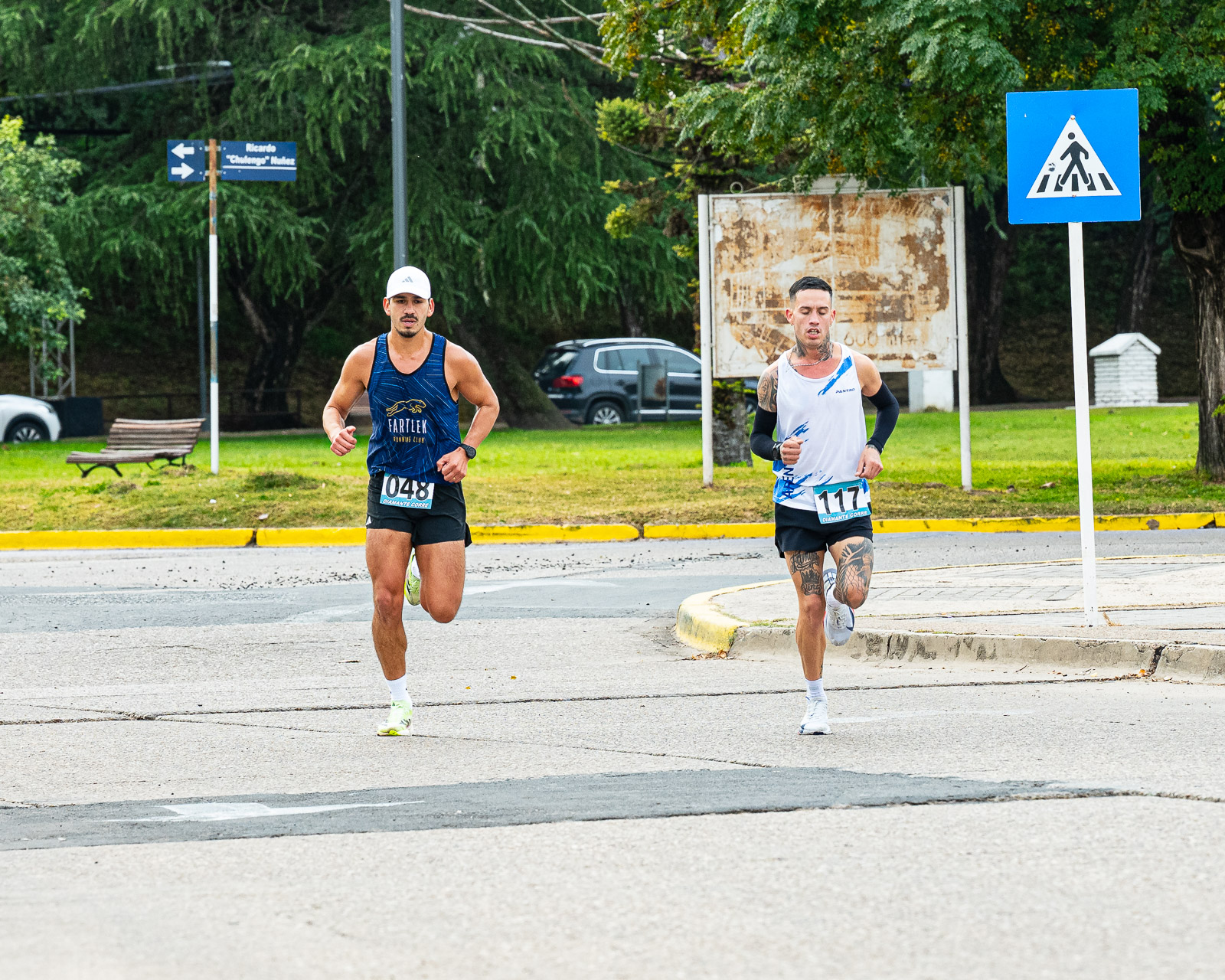 Foto Dorsal 048