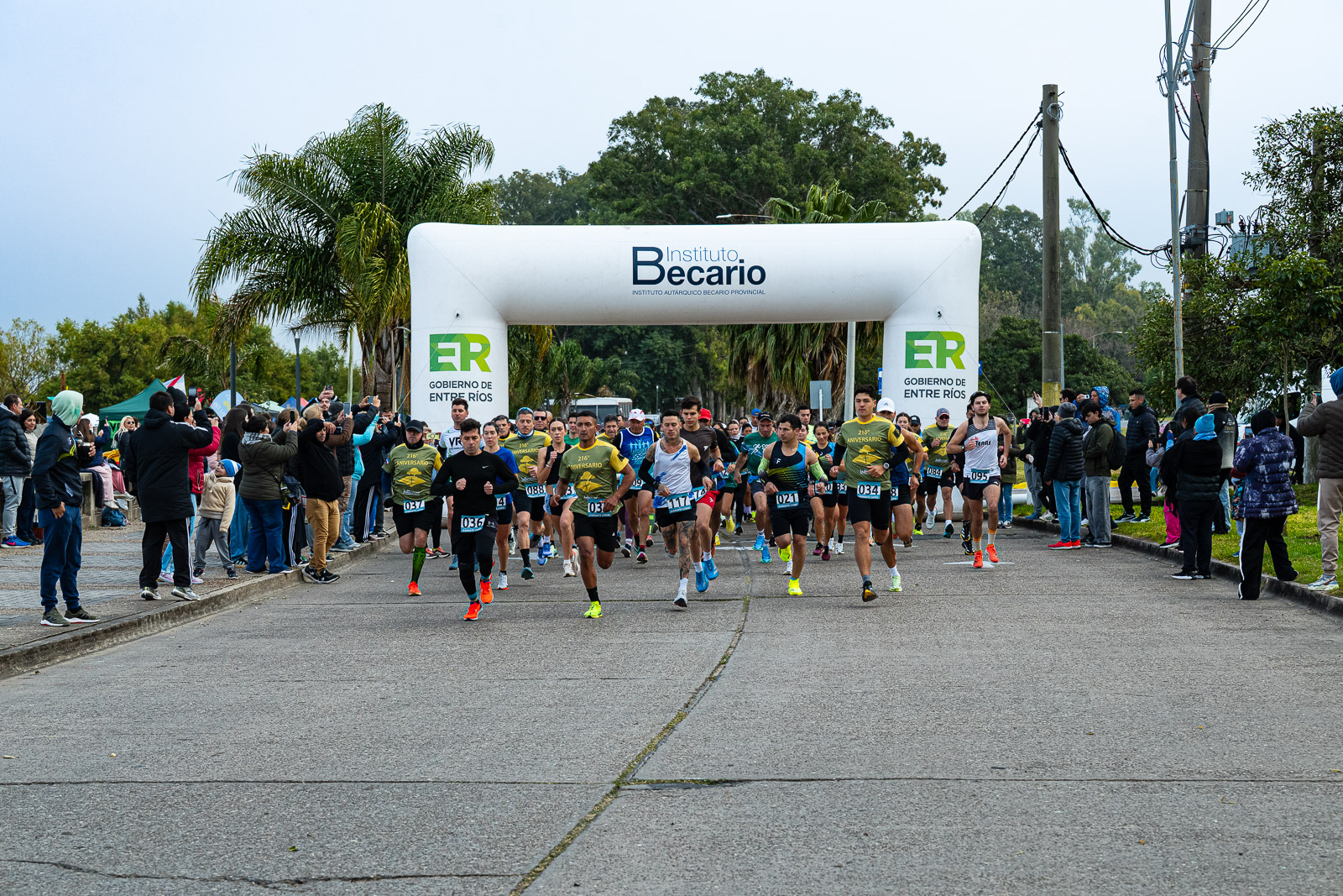 Foto Dorsal 036