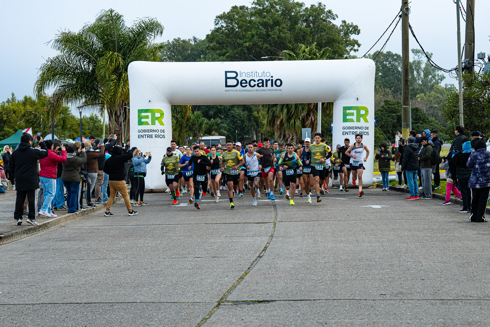 Foto Dorsal 034