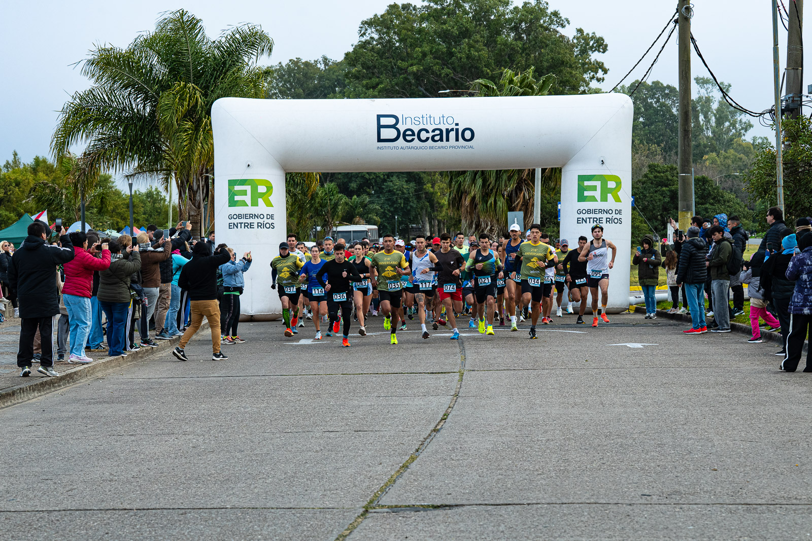 Foto Dorsal 074