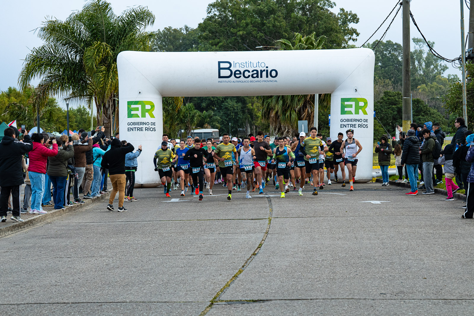 Foto Dorsal 043