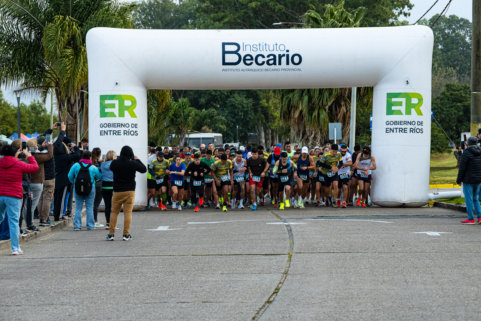 Foto Dorsal 114