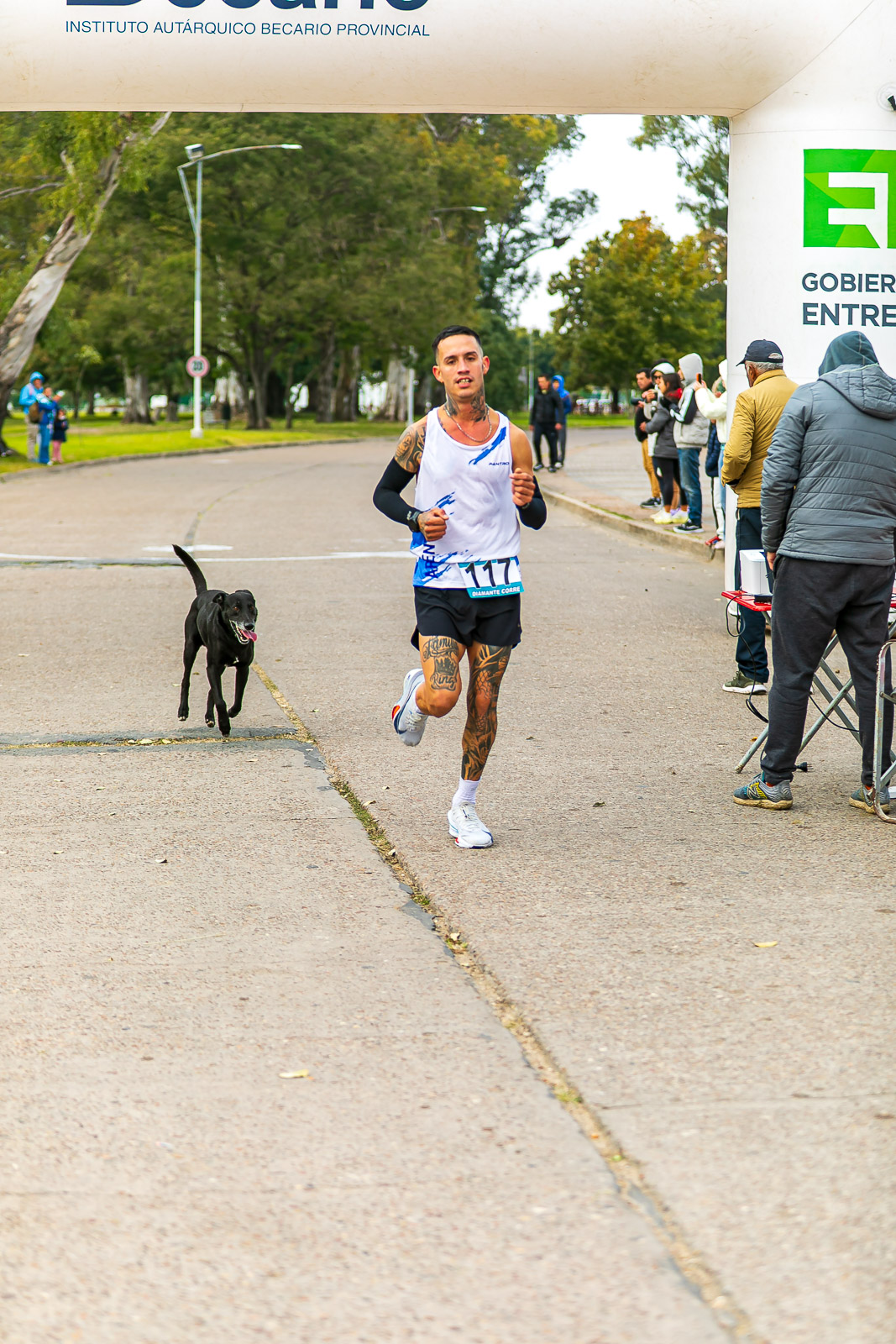 Foto Dorsal 117
