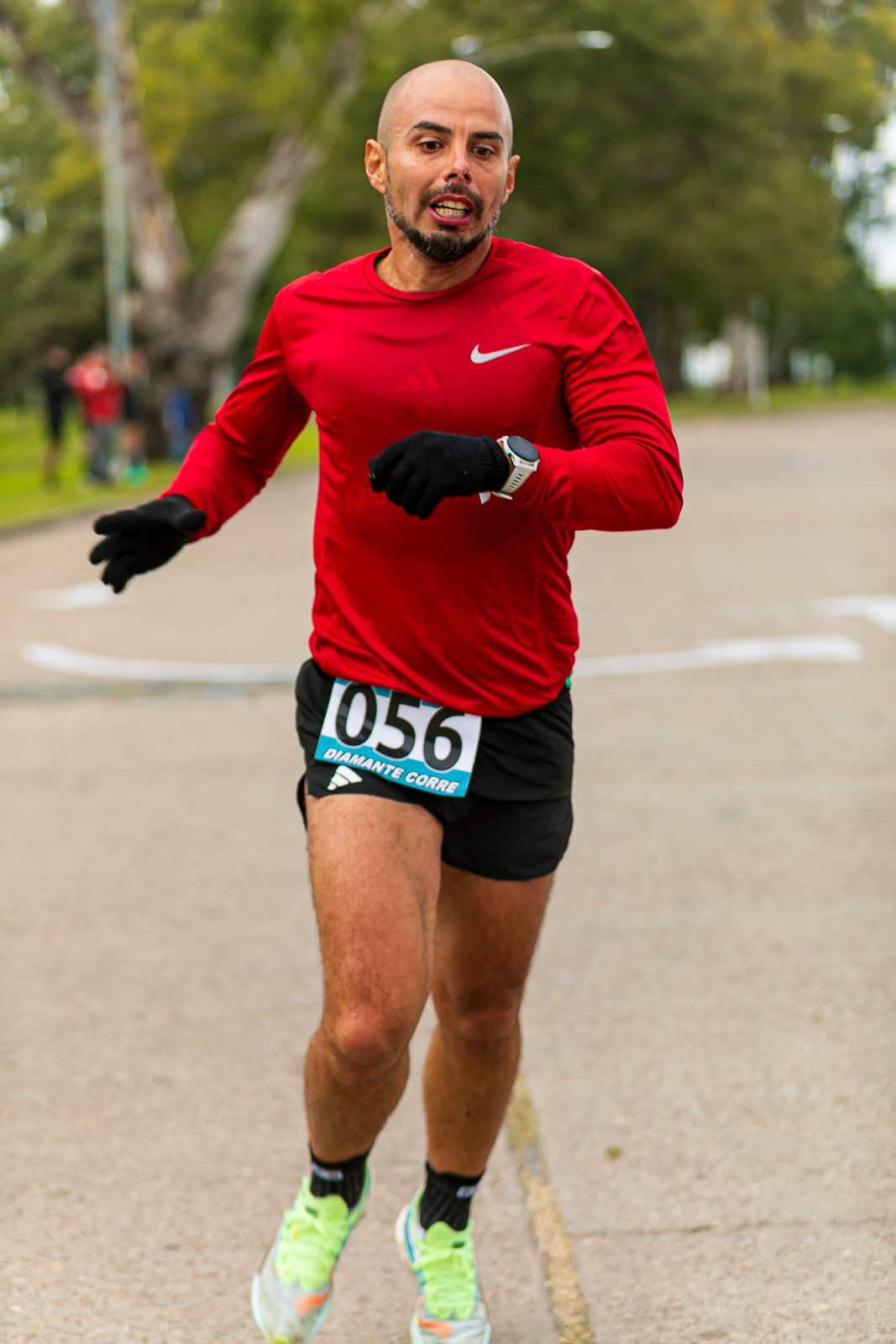 Foto Dorsal 056