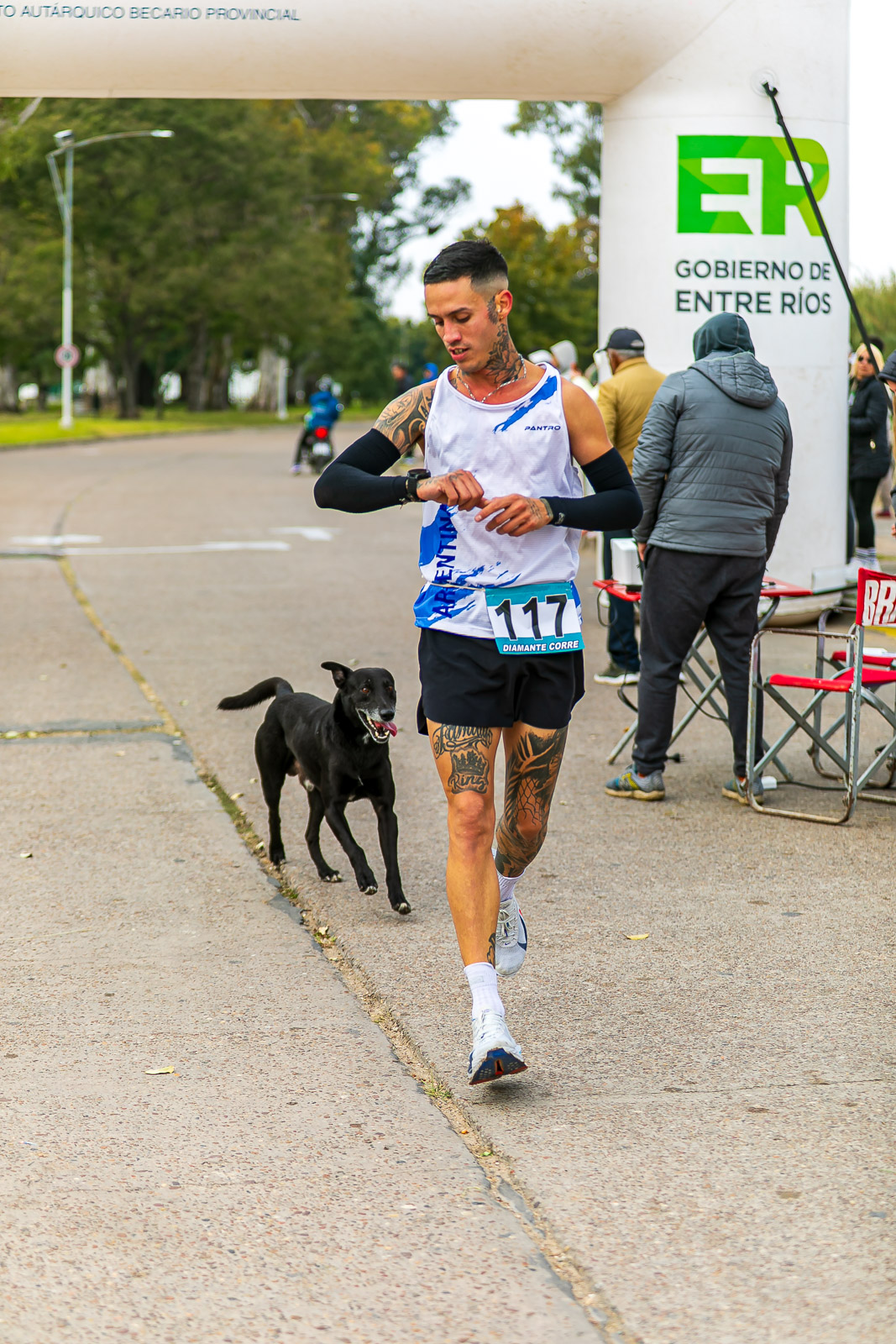Foto Dorsal 117
