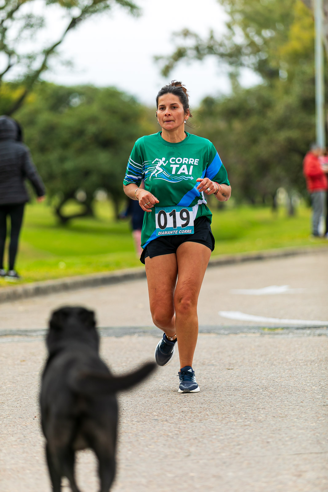 Foto Dorsal 019