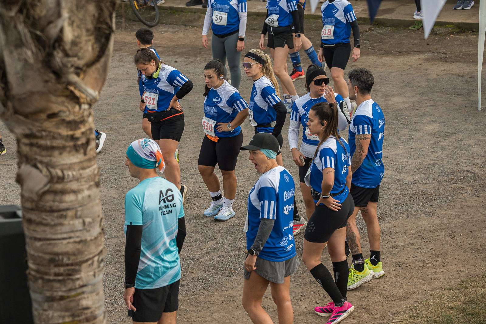 Foto Dorsal 521