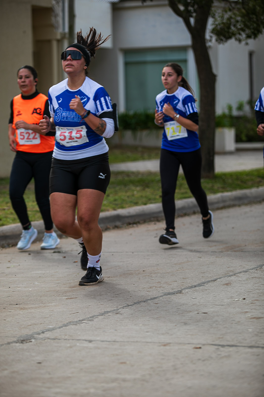 Foto Dorsal 522