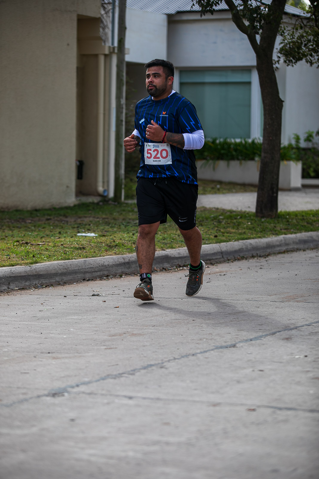 Foto Dorsal 520